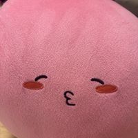 sora._.