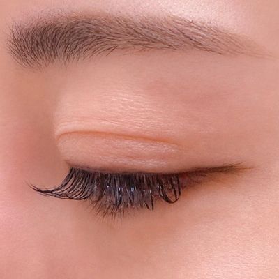 バインドロック100束