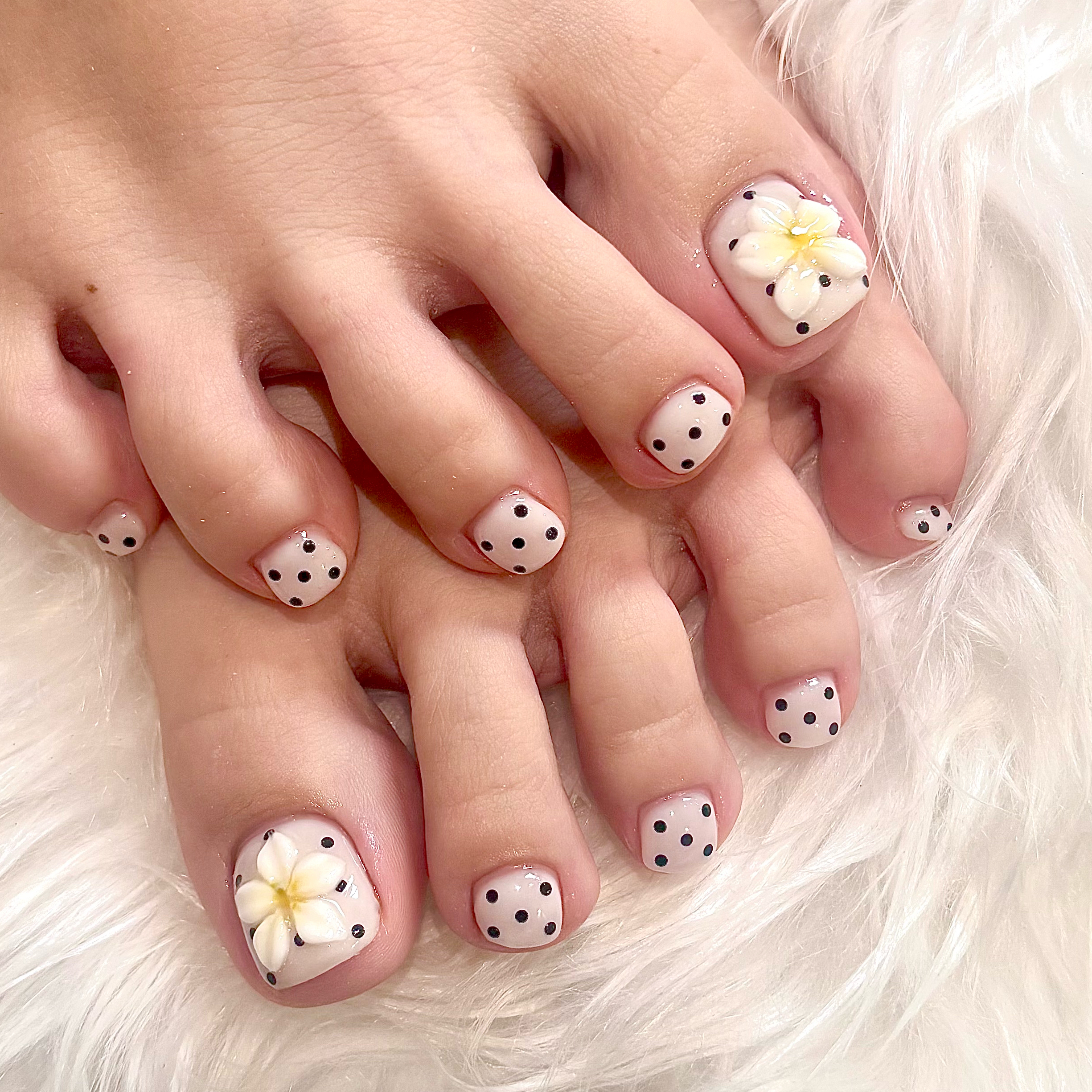 Dreamin_sakura