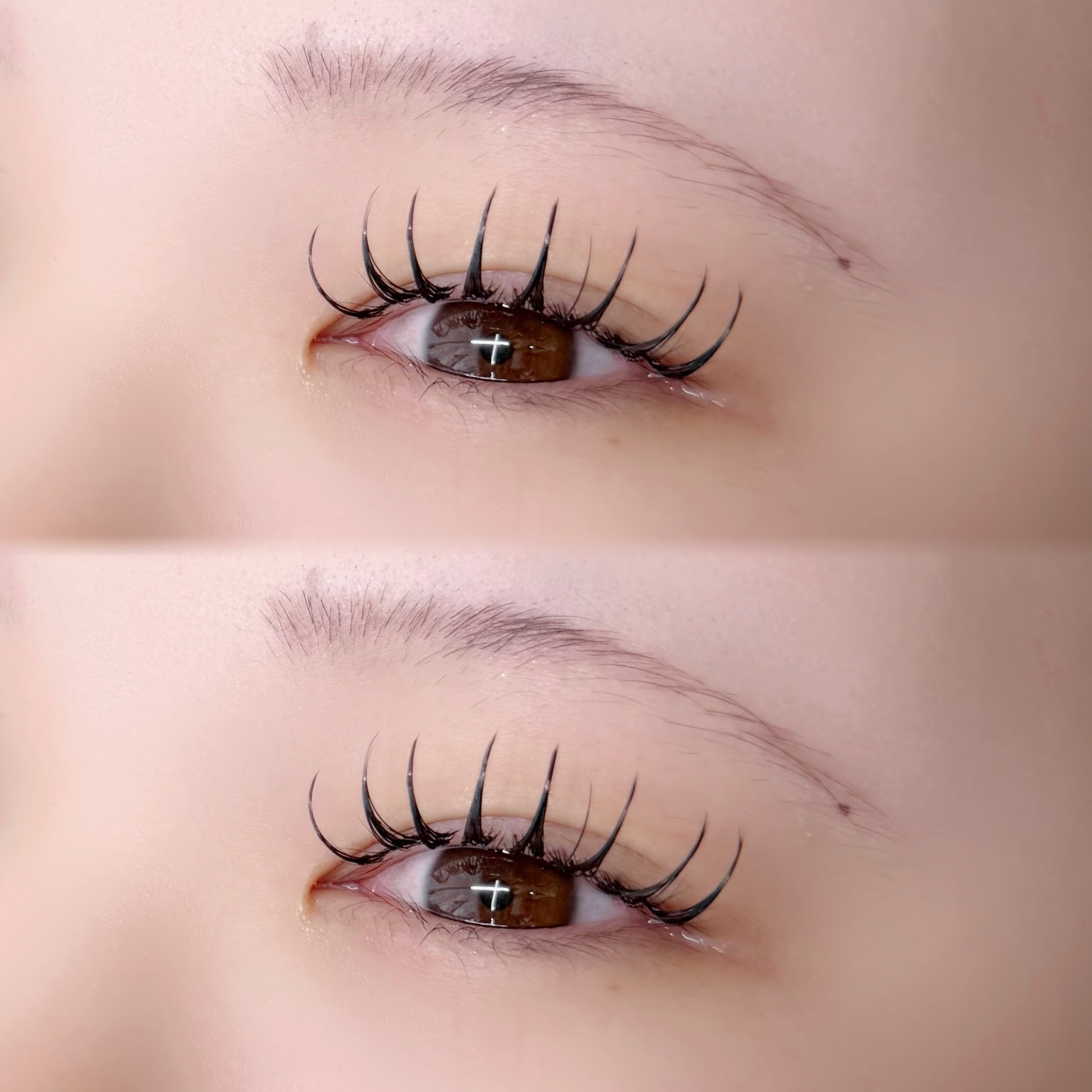 lily_eye_asako