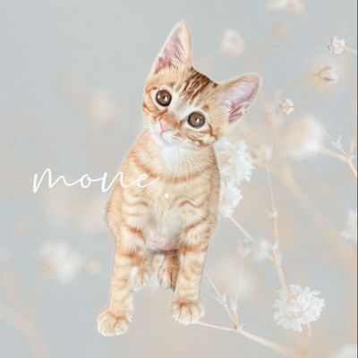 ベースクリアグラデーション