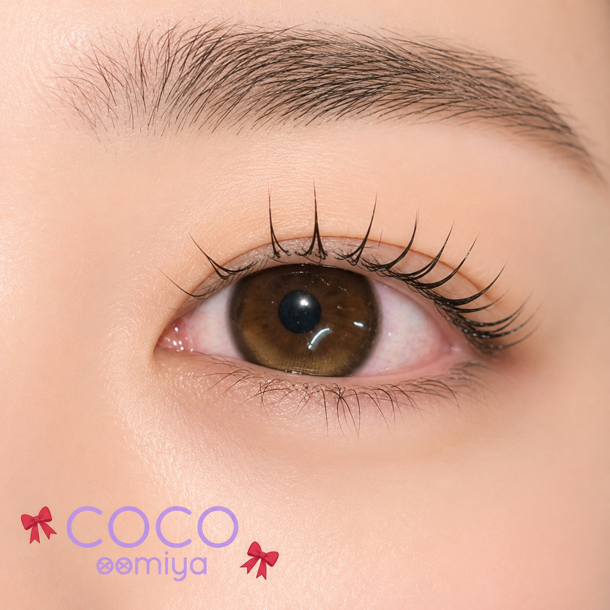 coco_shizuku