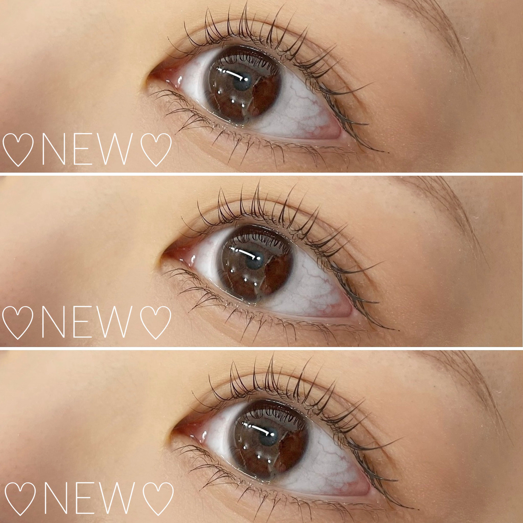 lily_eyebeauty