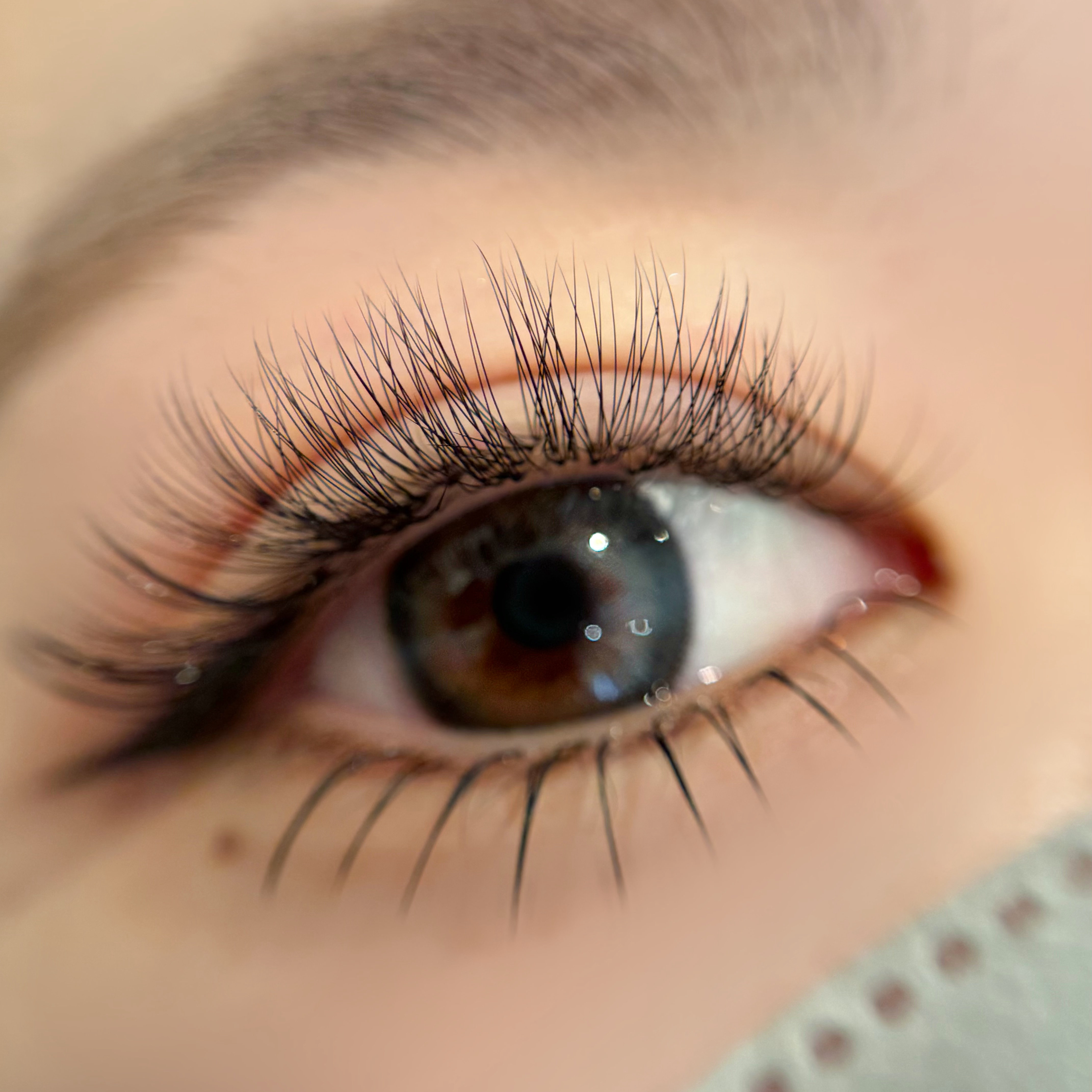 IRIS._rina