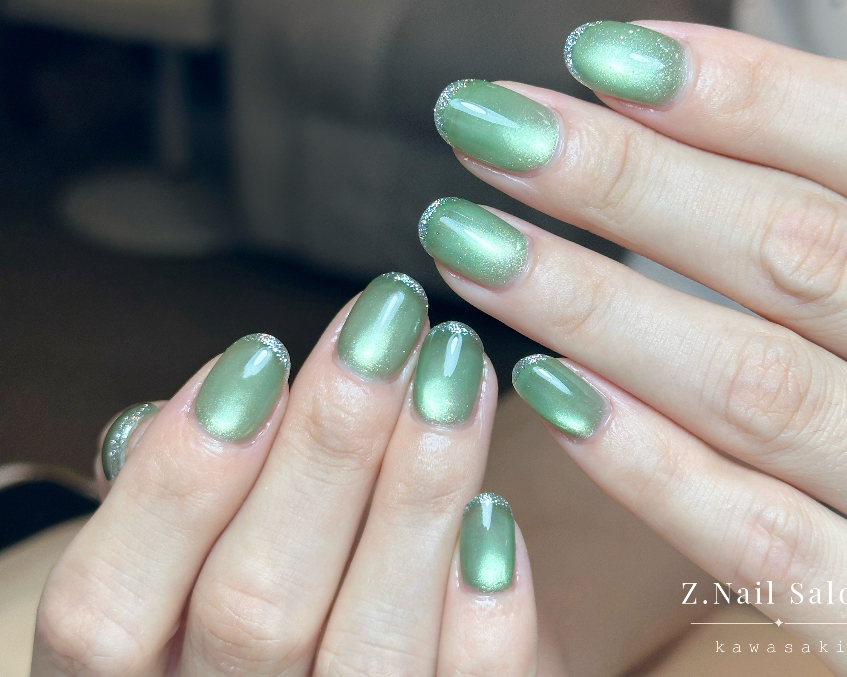 Z.NailSalon