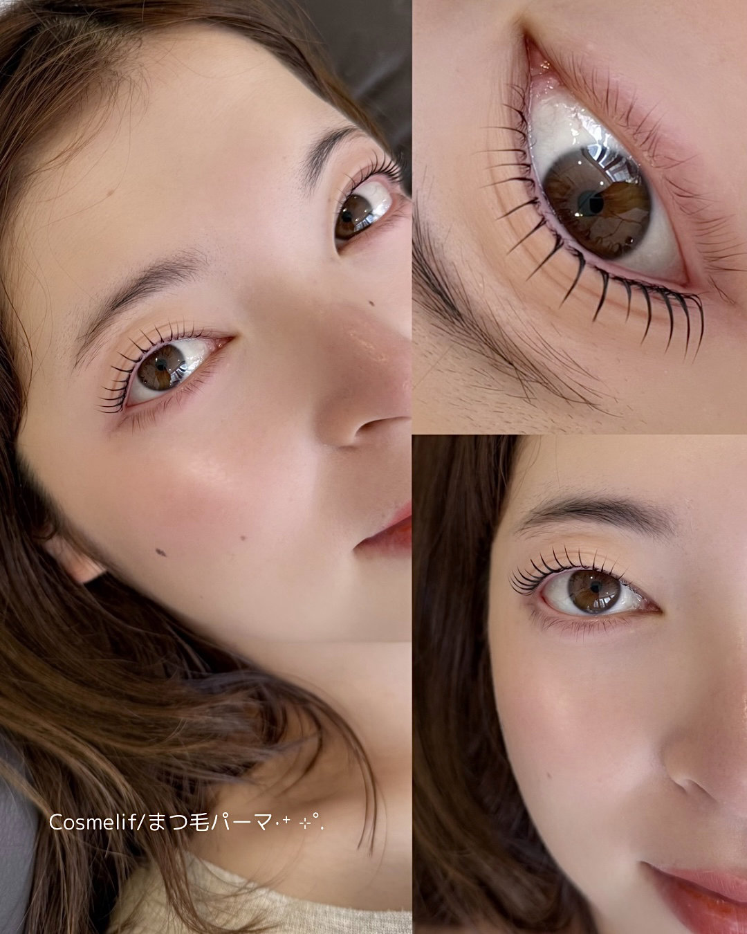 lashartist_y