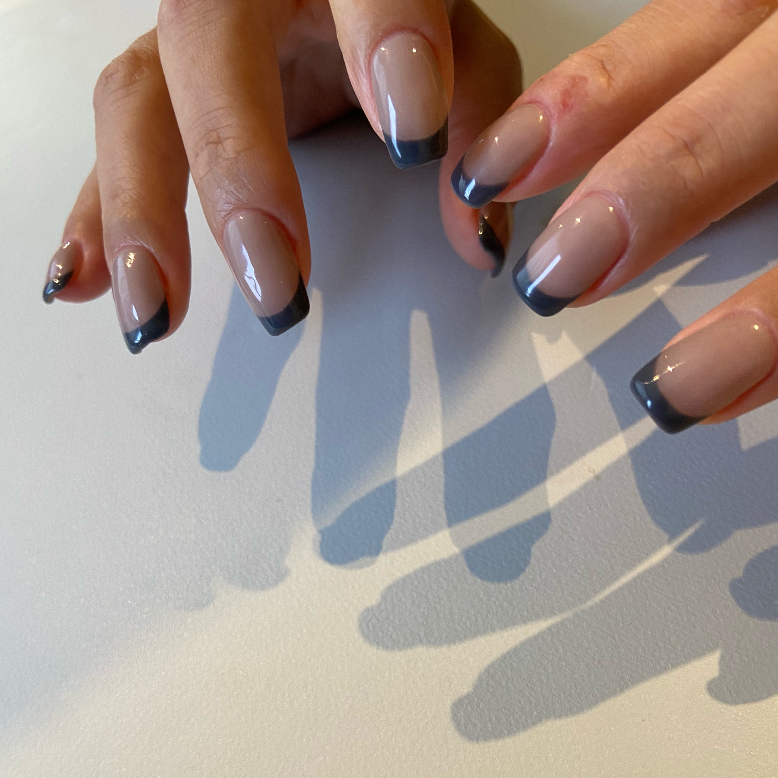 CANVAS_shima