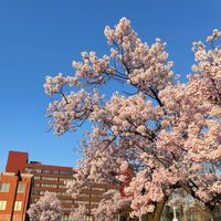 taka_24.