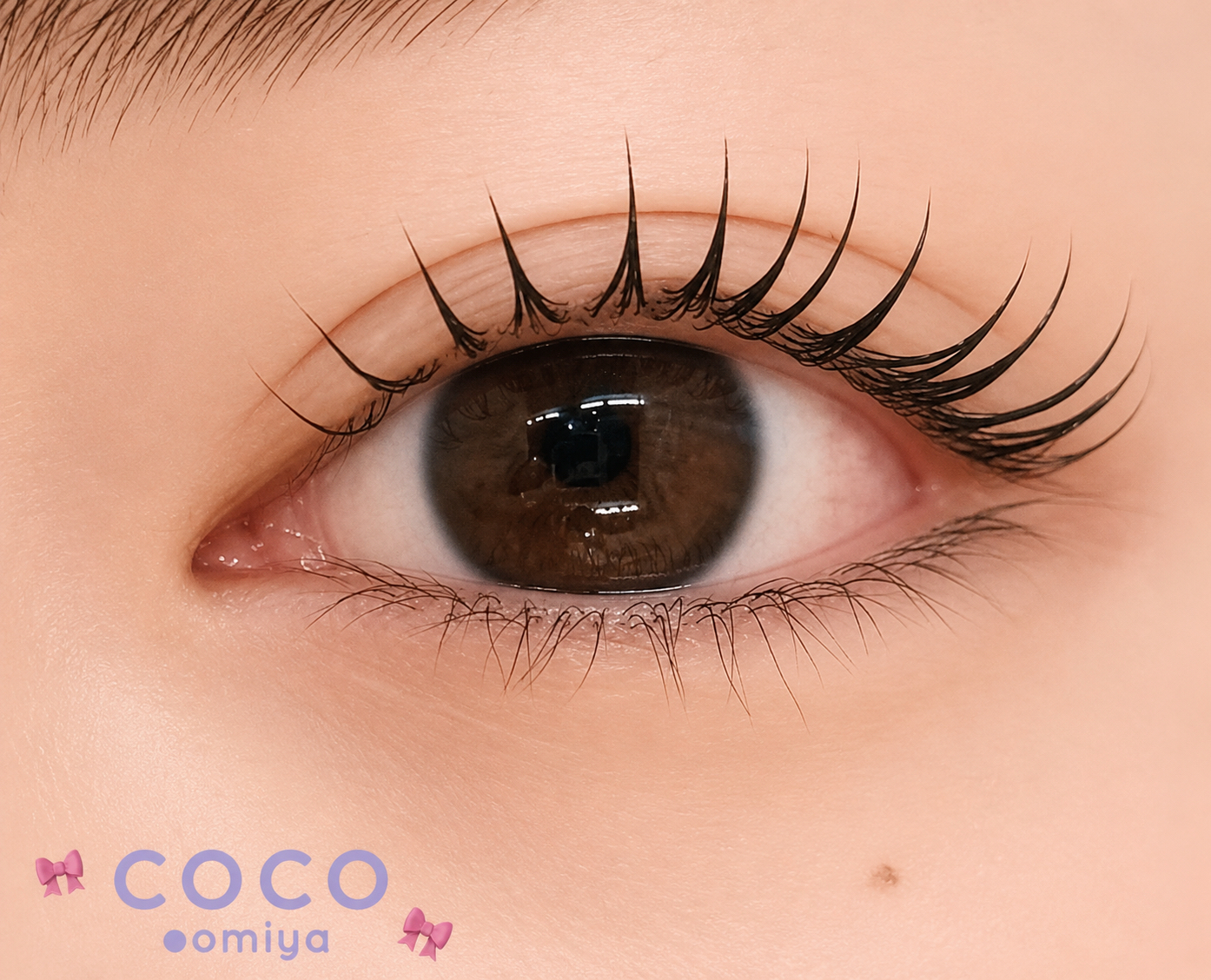 coco_shizuku