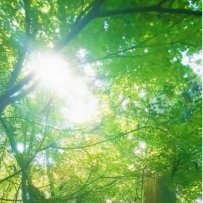 【人気】癒しの🌿#ハンド #アロマ #オイル #リンパ T＆レイキ🤲✨