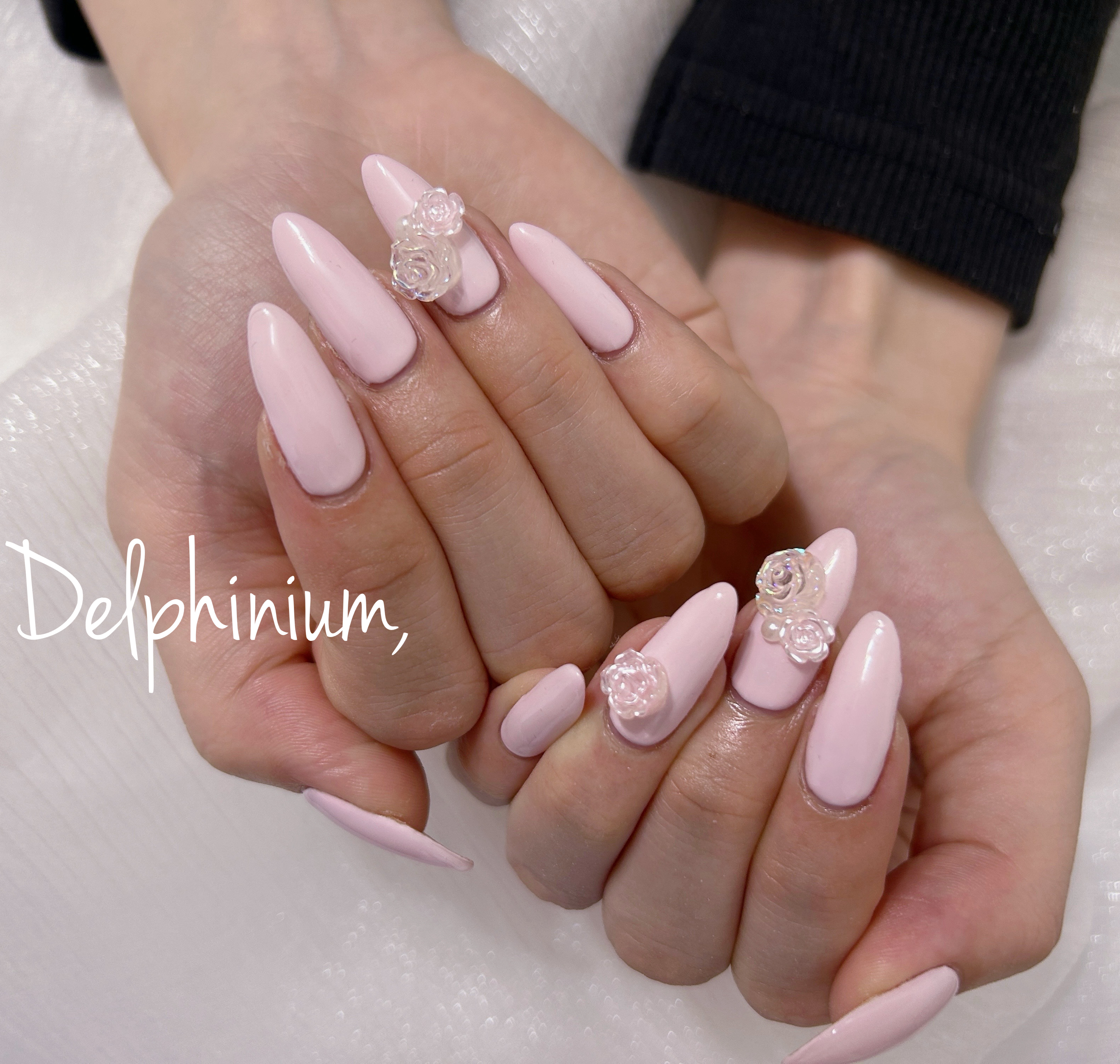 delphinium_22