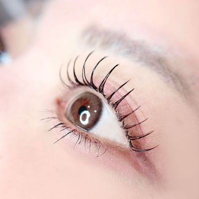 🌷フラットラッシュ120本🌷