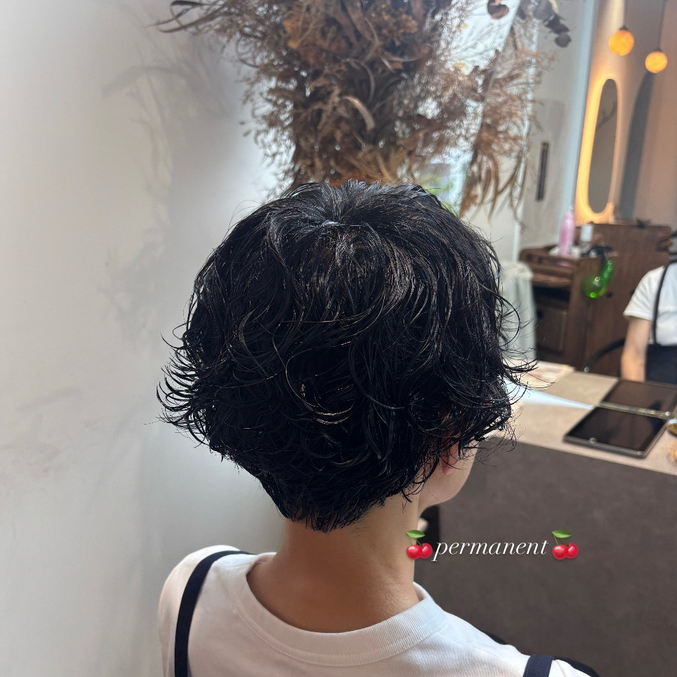linoa__hotaru