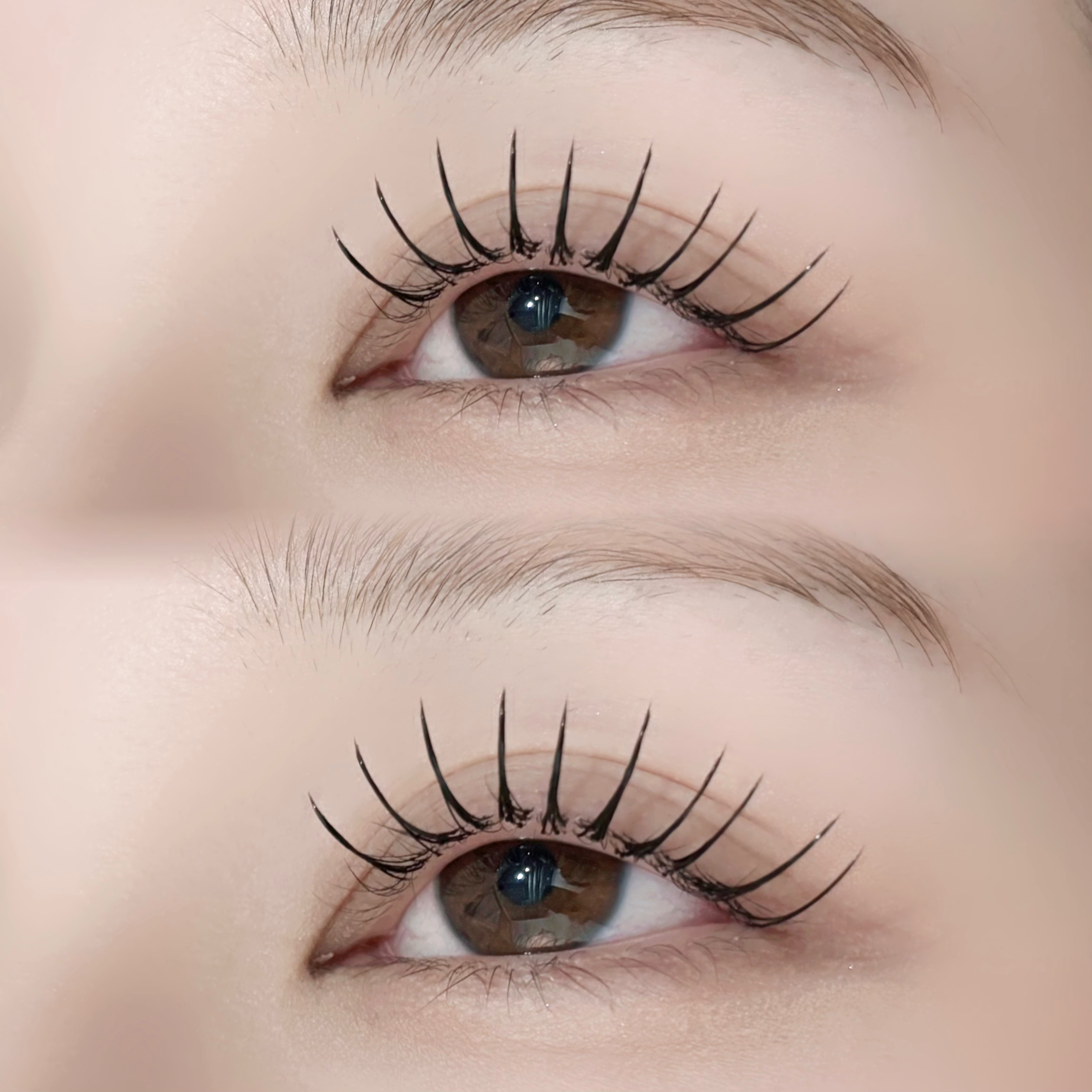 BUCKS_eye