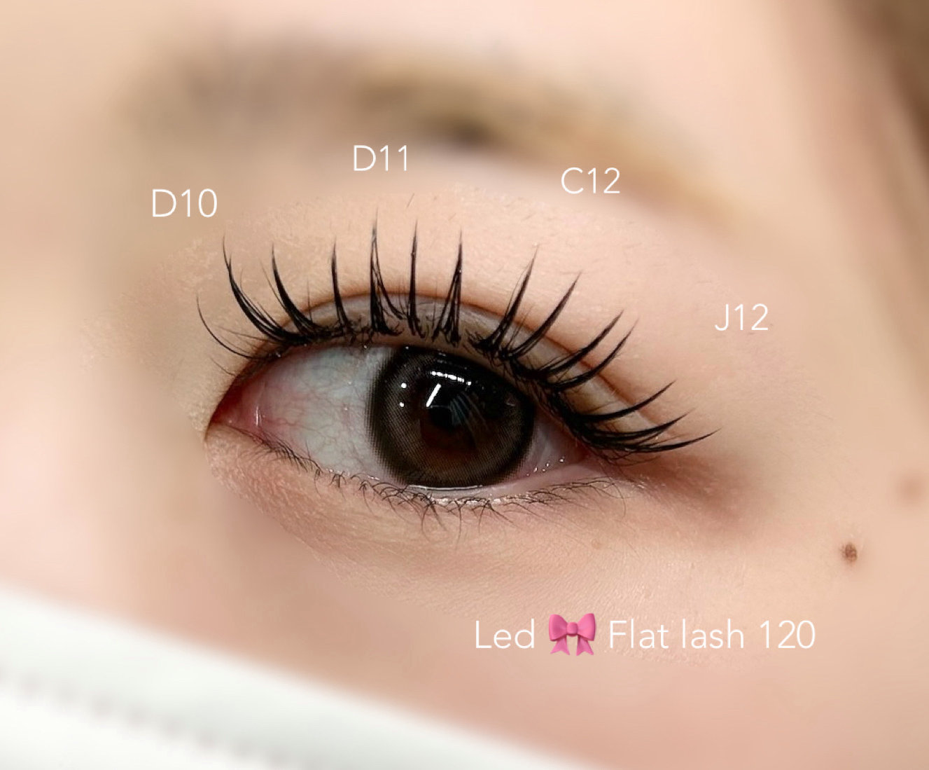 ciela_eyelash