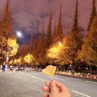 Ikeapril2