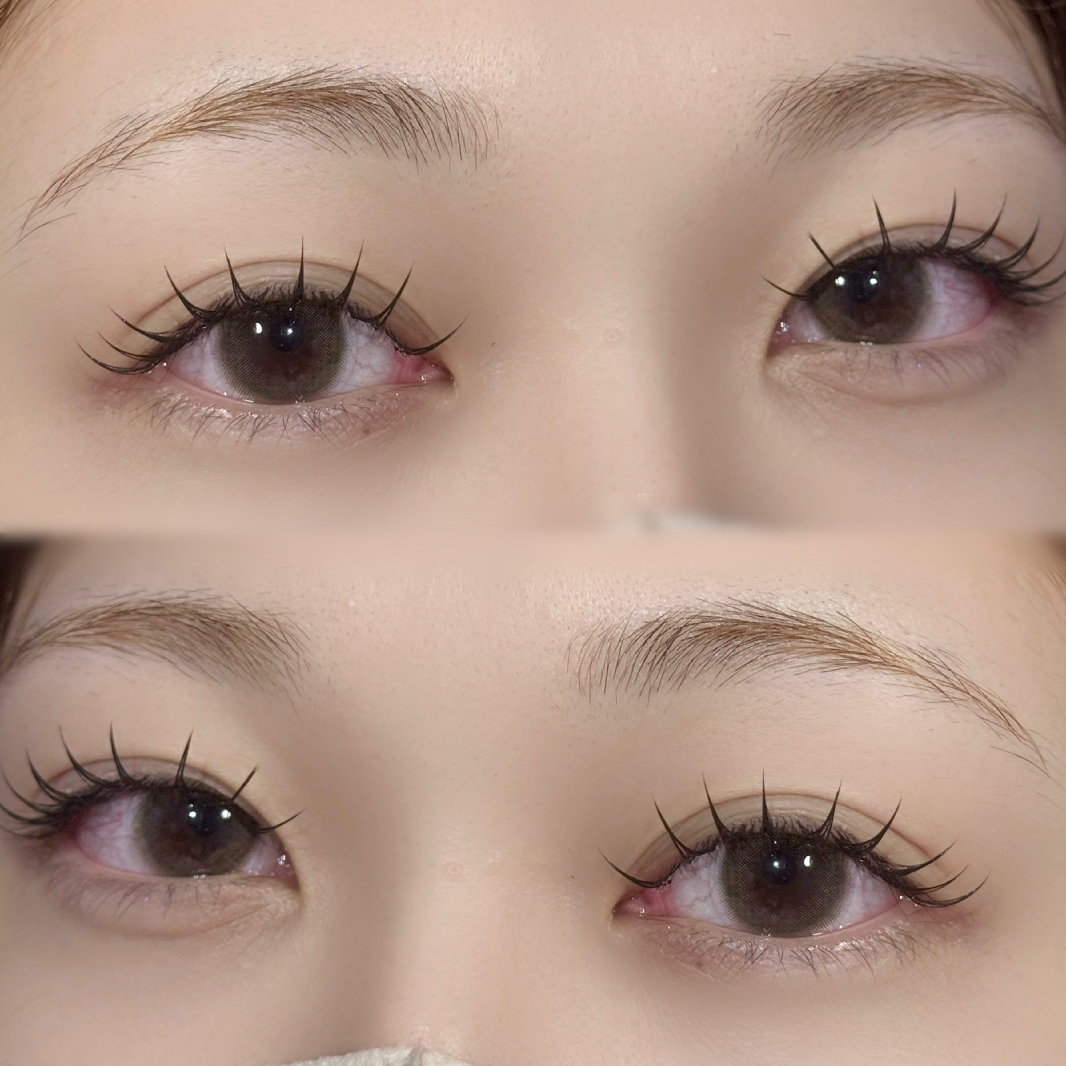 meme.salon___luna