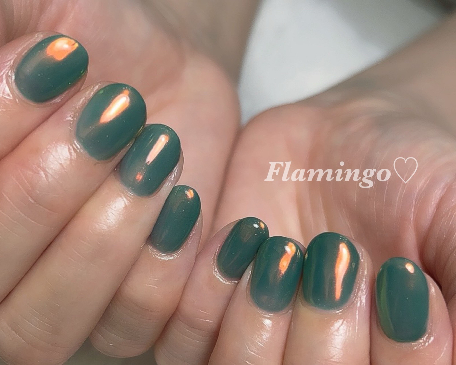 flamingo