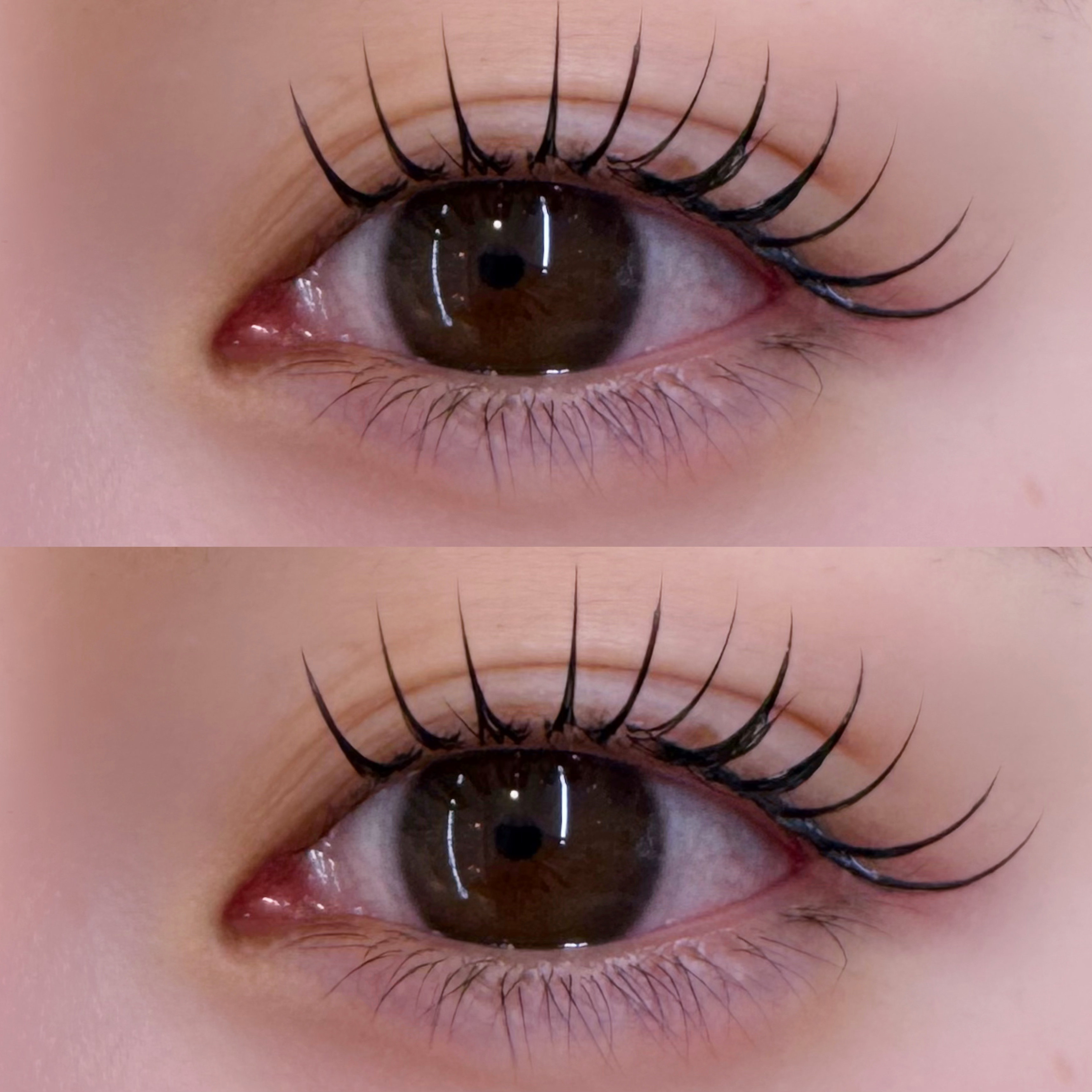 eye_ayame