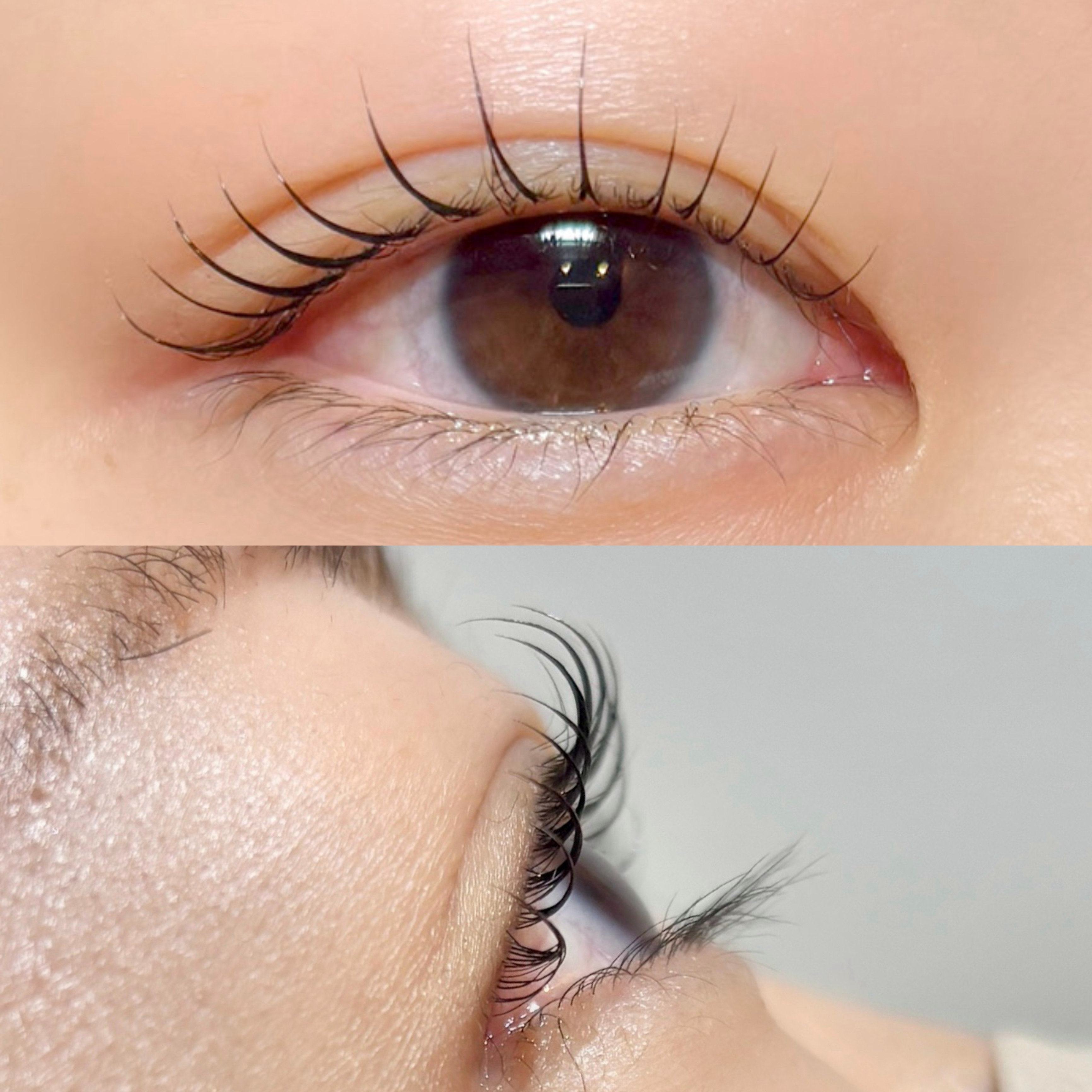 eye_konomi