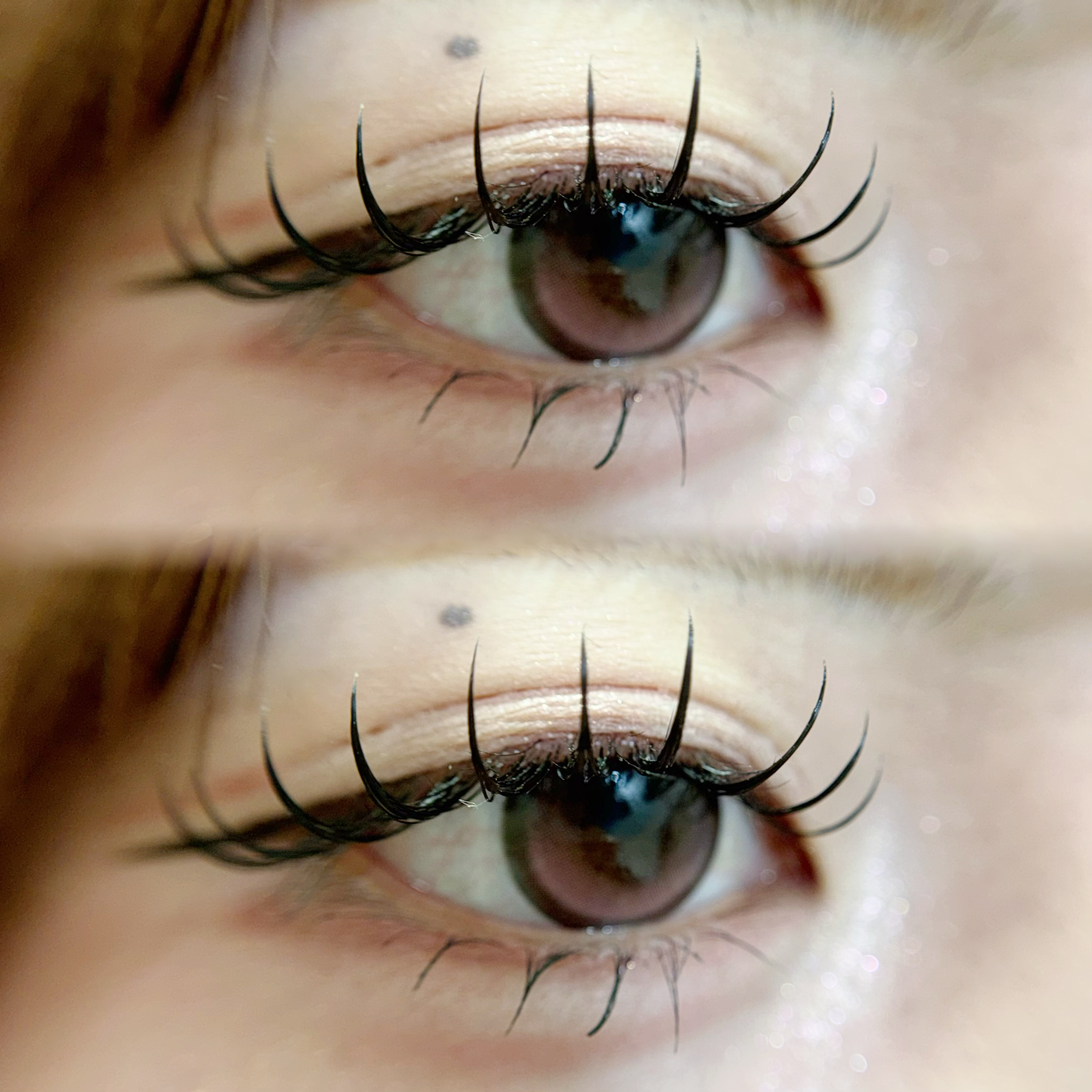 FLORANZ_ARIEL