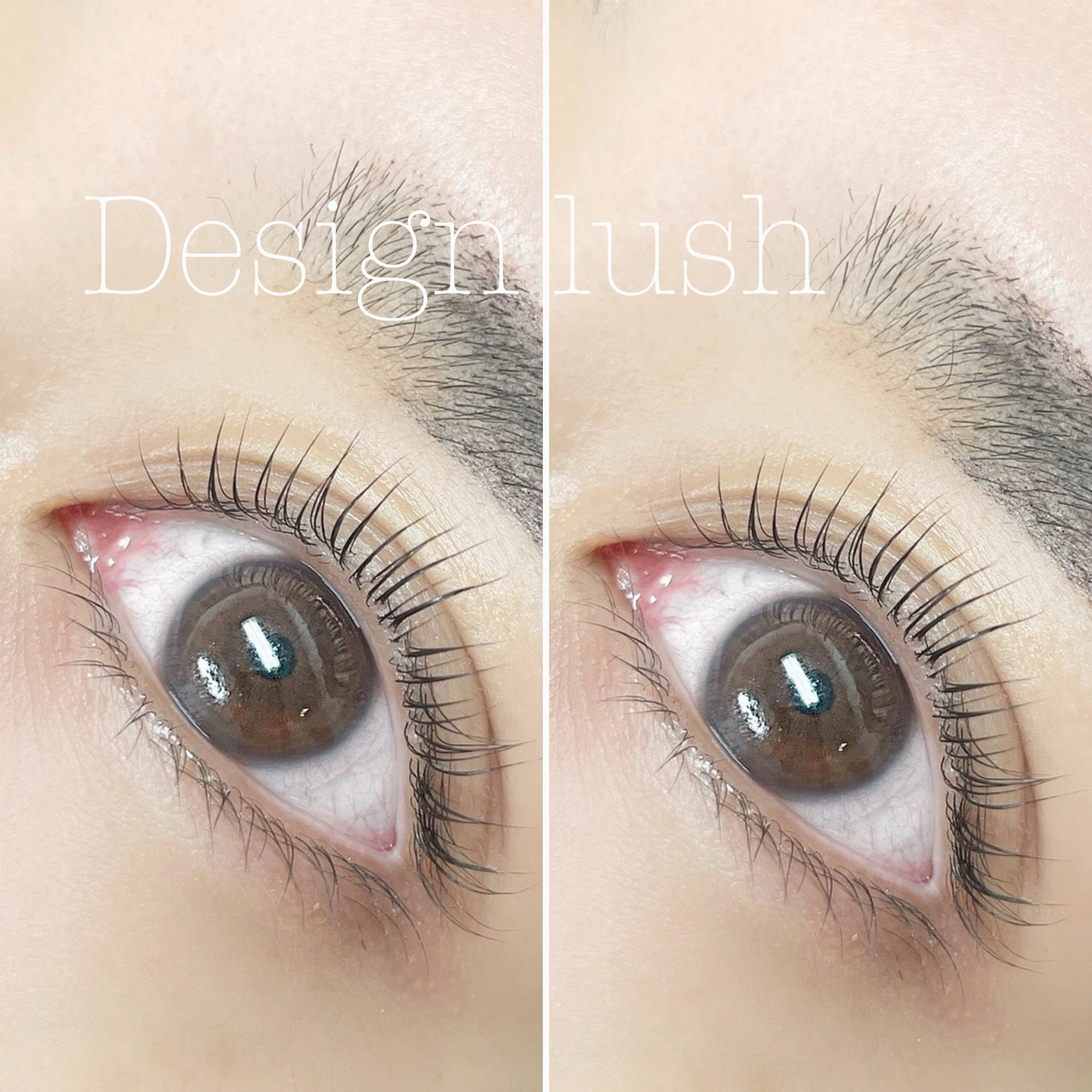 lily_eyebeauty