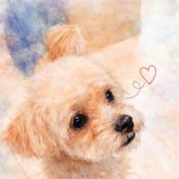 yurie01090780