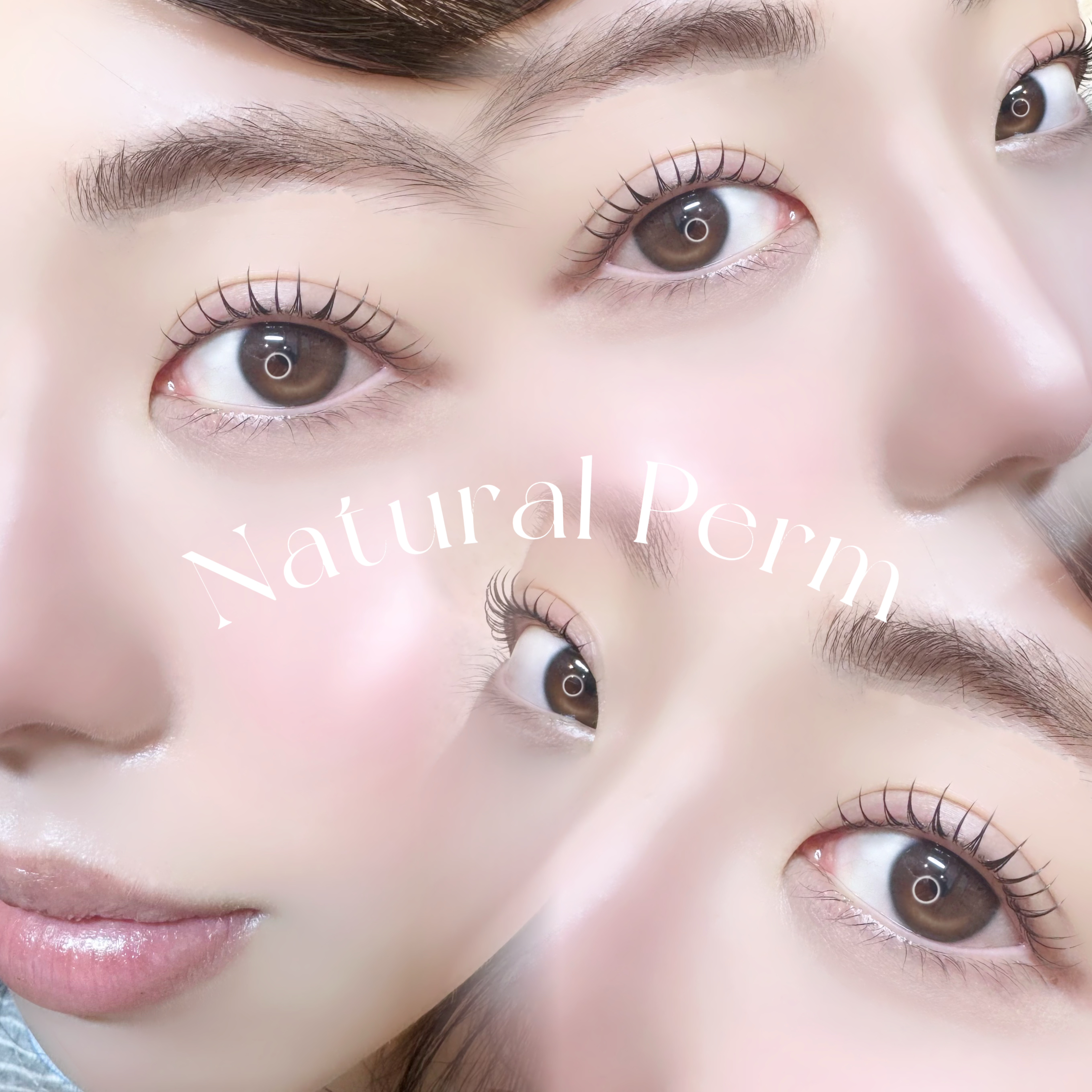 08_ssr