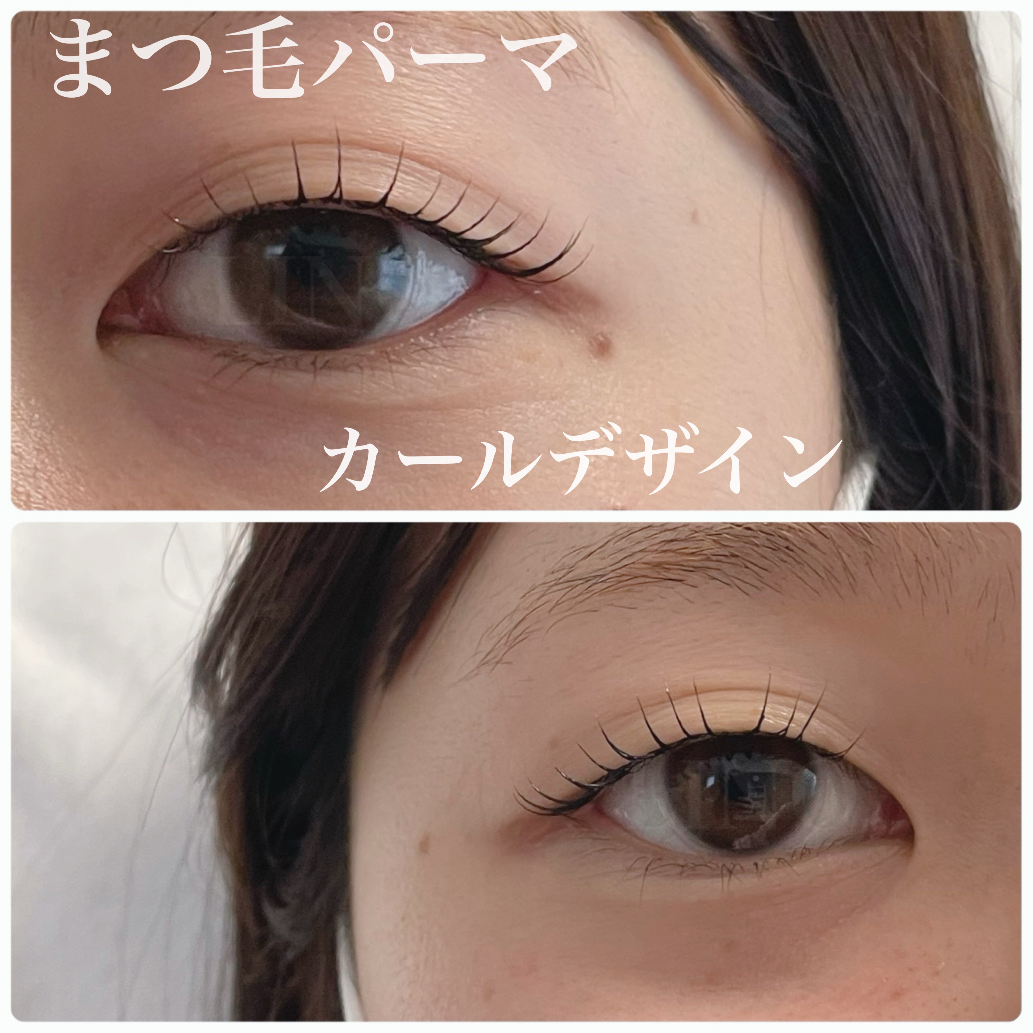 LINO_eyelash.