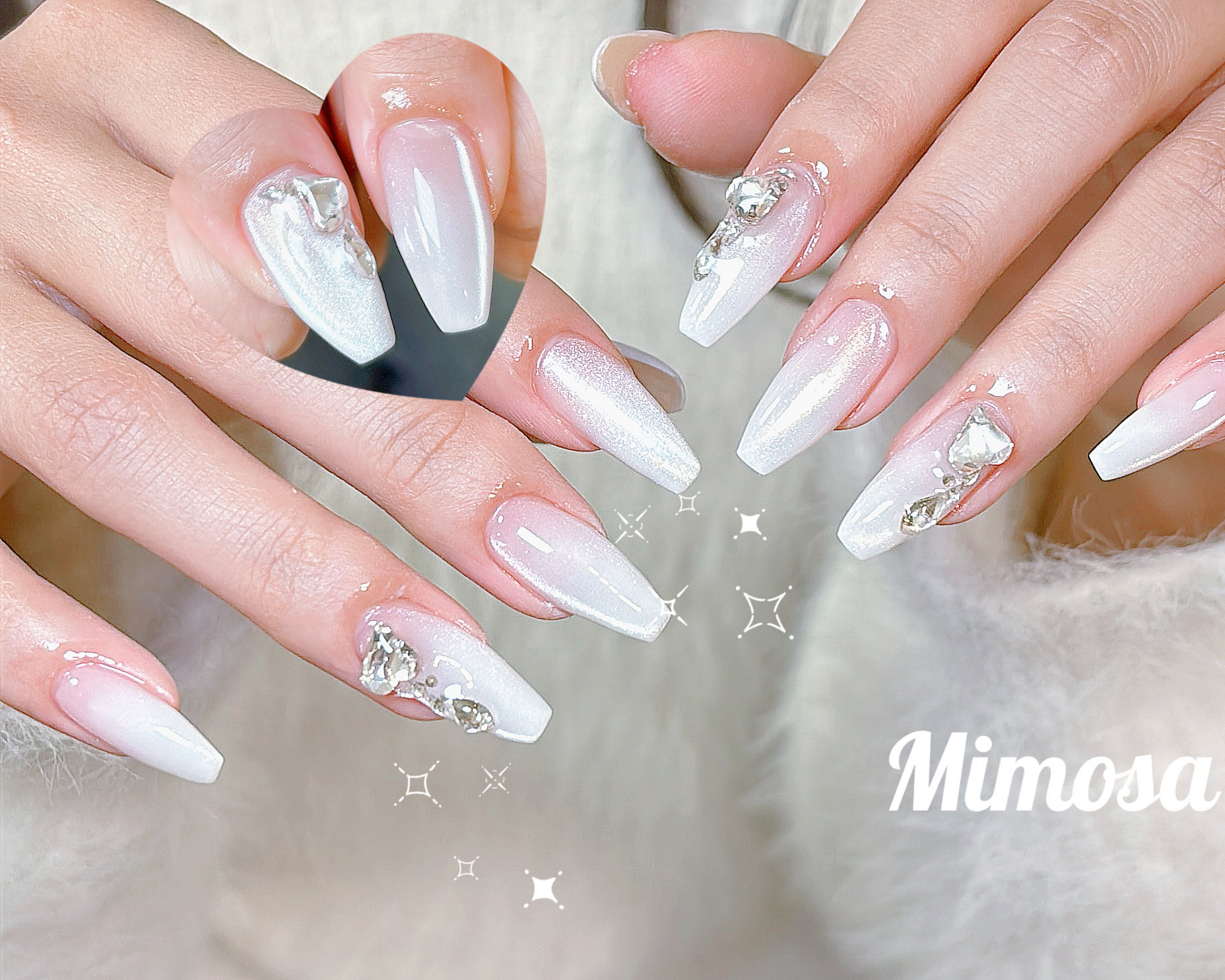 mimosa_kichijoji