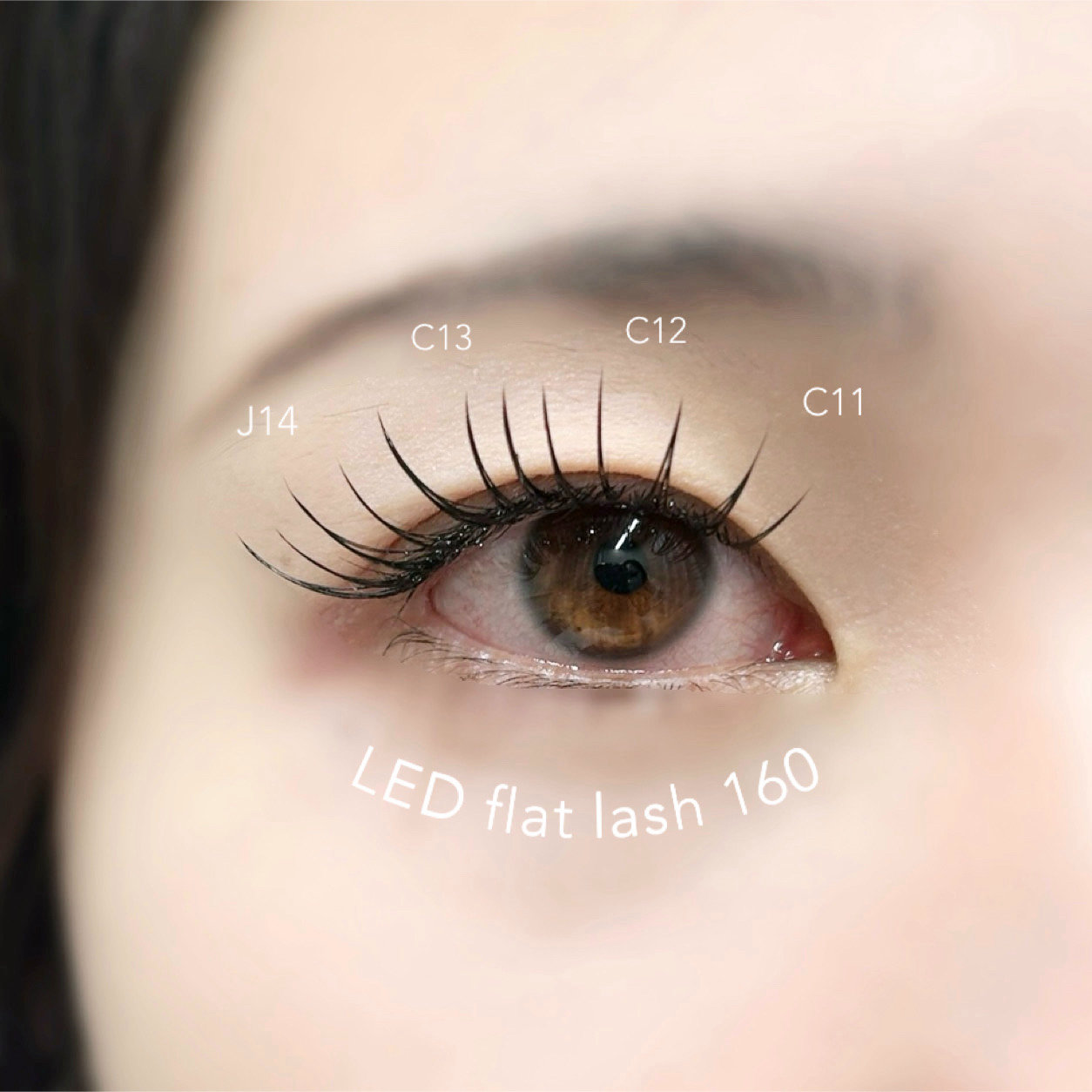 ciela_eyelash
