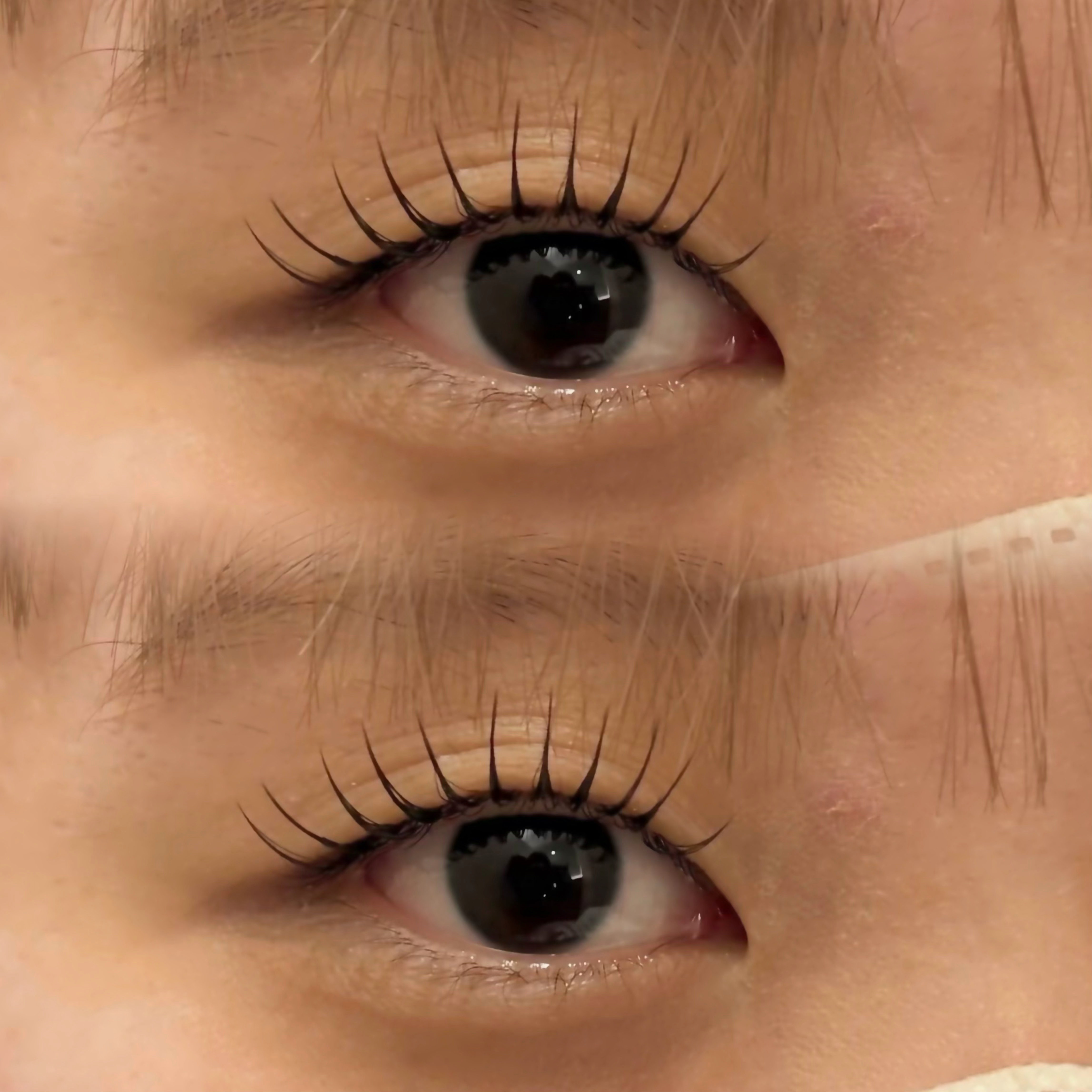 eyelash.suzuna