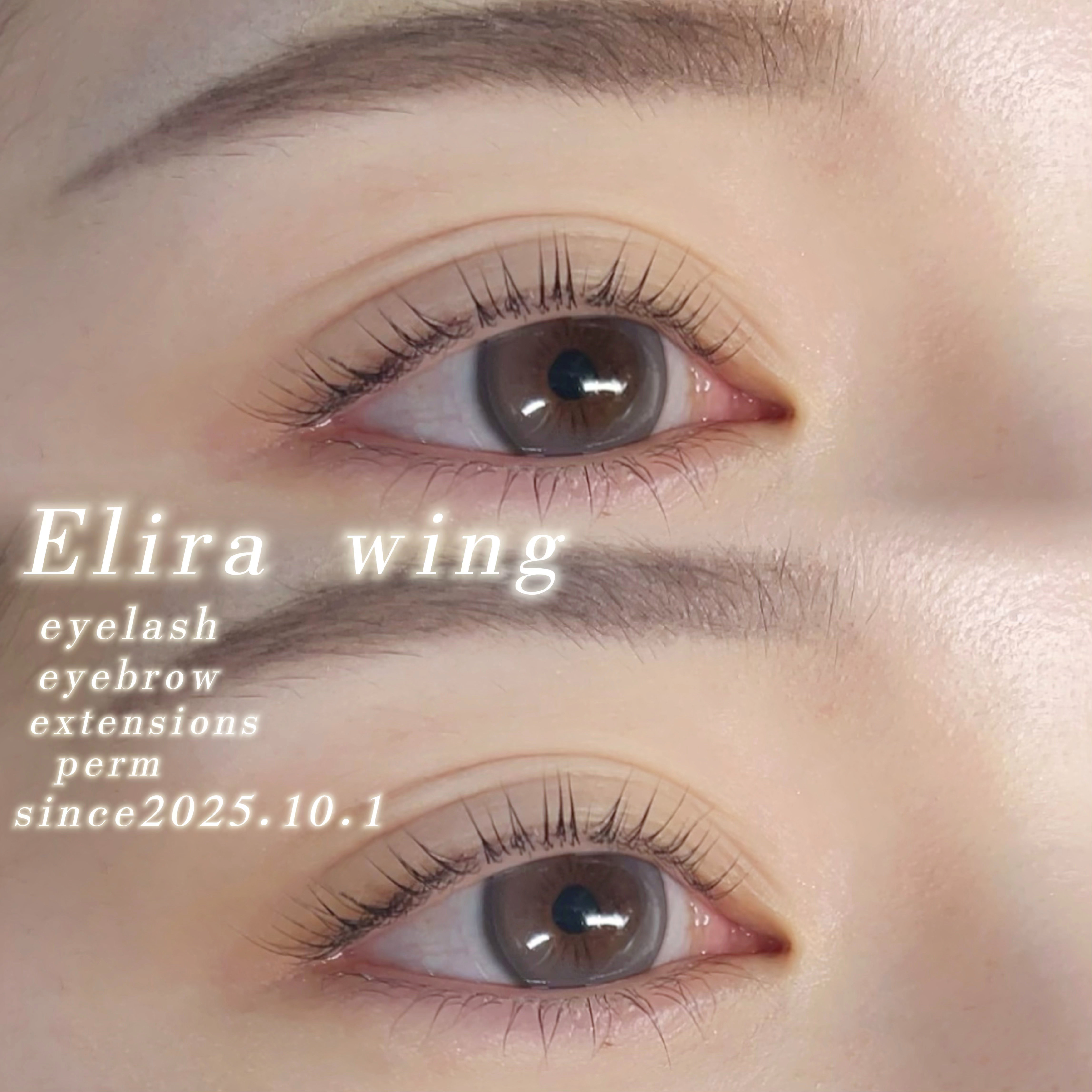Elirawing