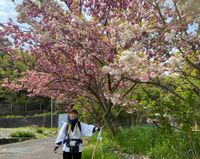 miho_san