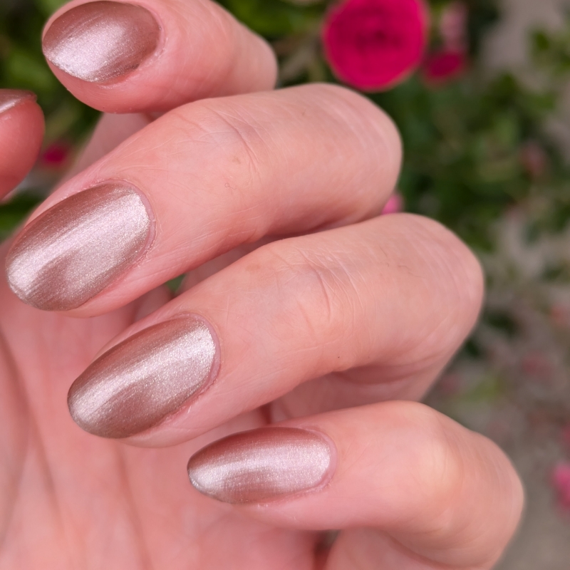 Nemu_Salon