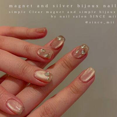 パラジェル simple 【magnet /glitter nail 】