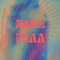 NailzPLAA
