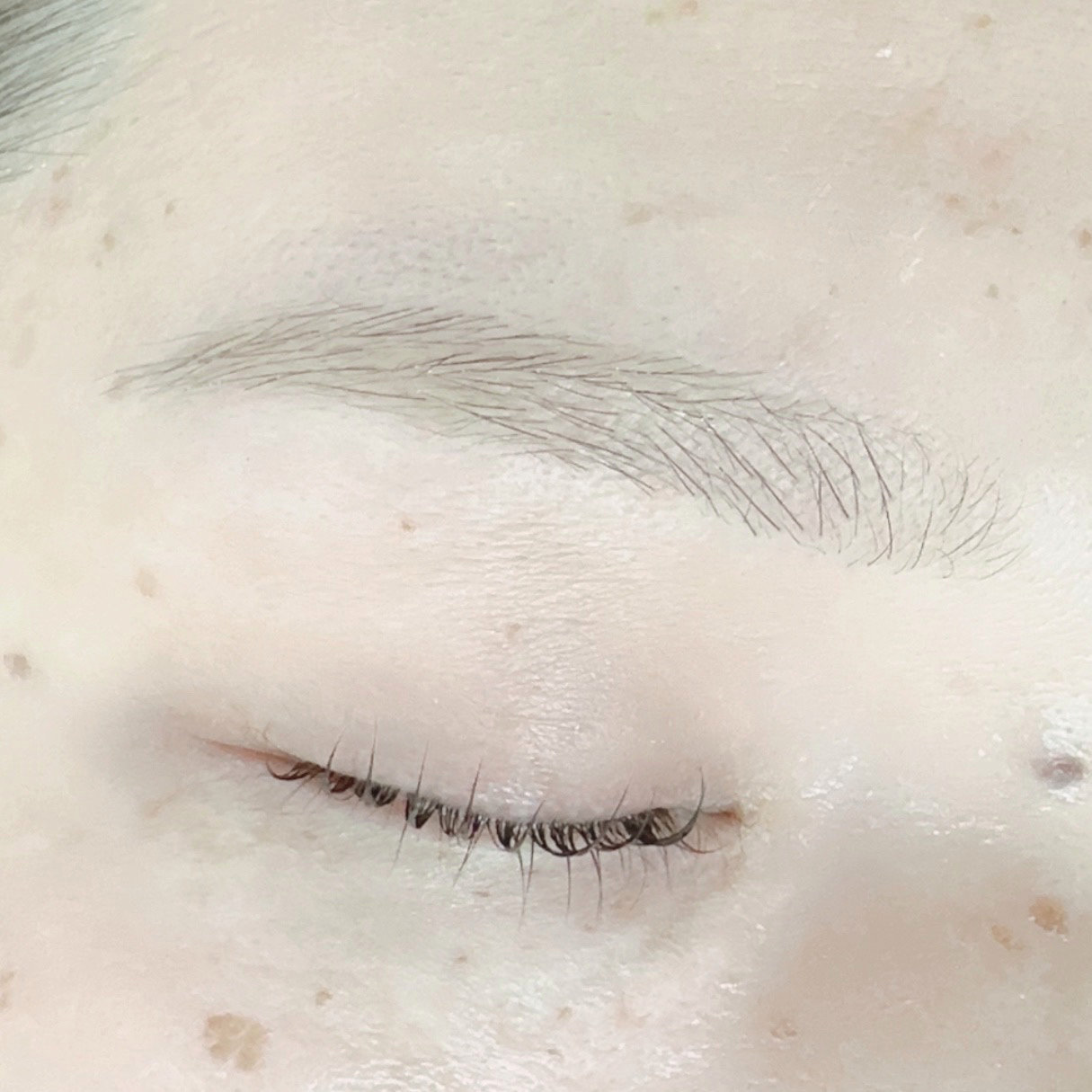 eye_owl_maryyyyyy