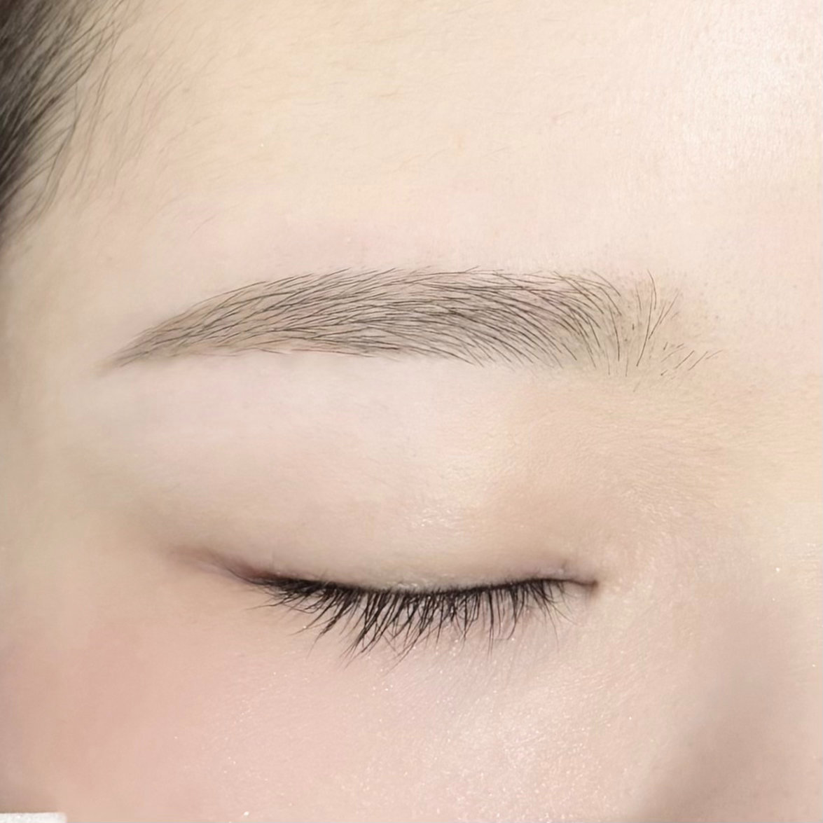 en_eyebrow_m