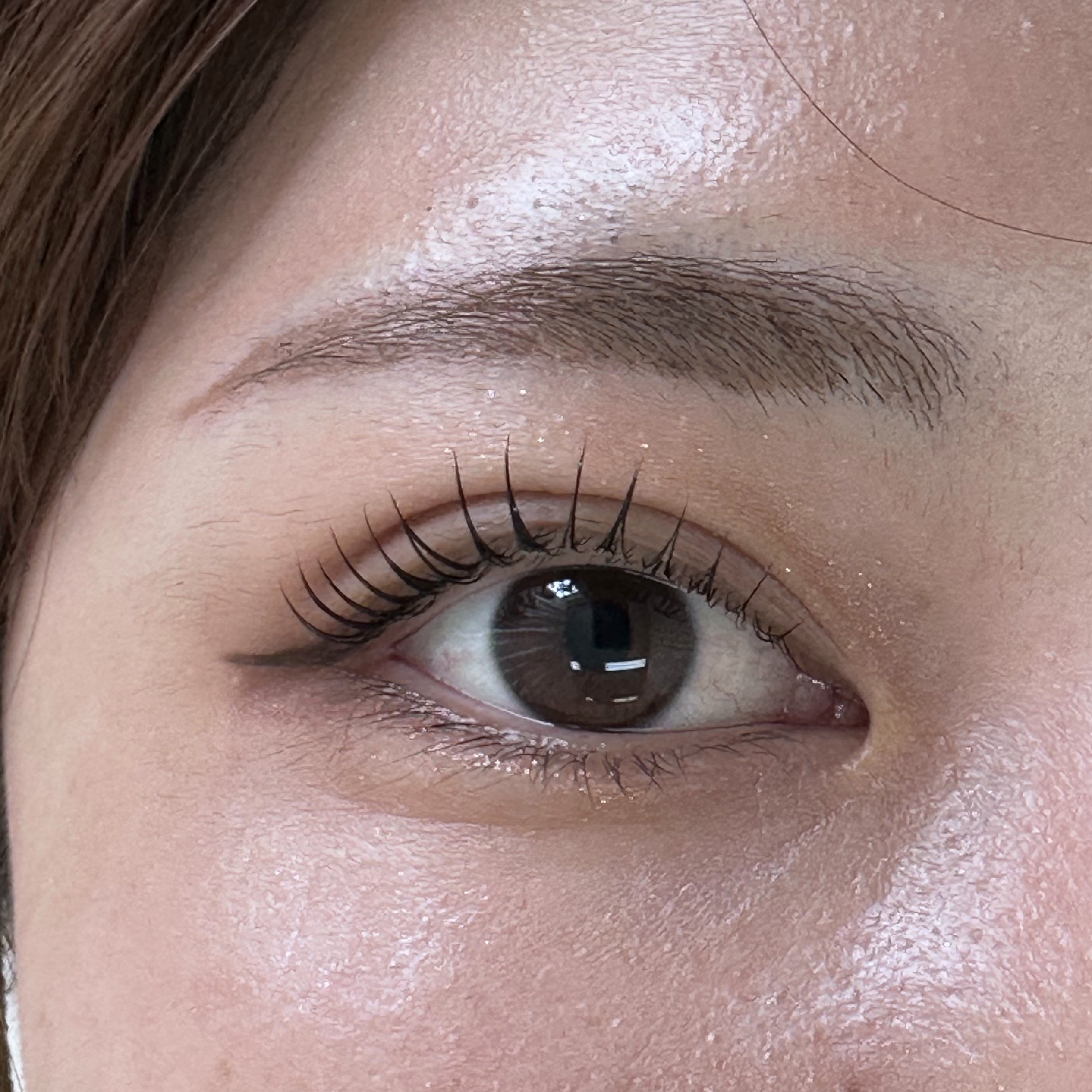 eye_owl_maryyyyyy