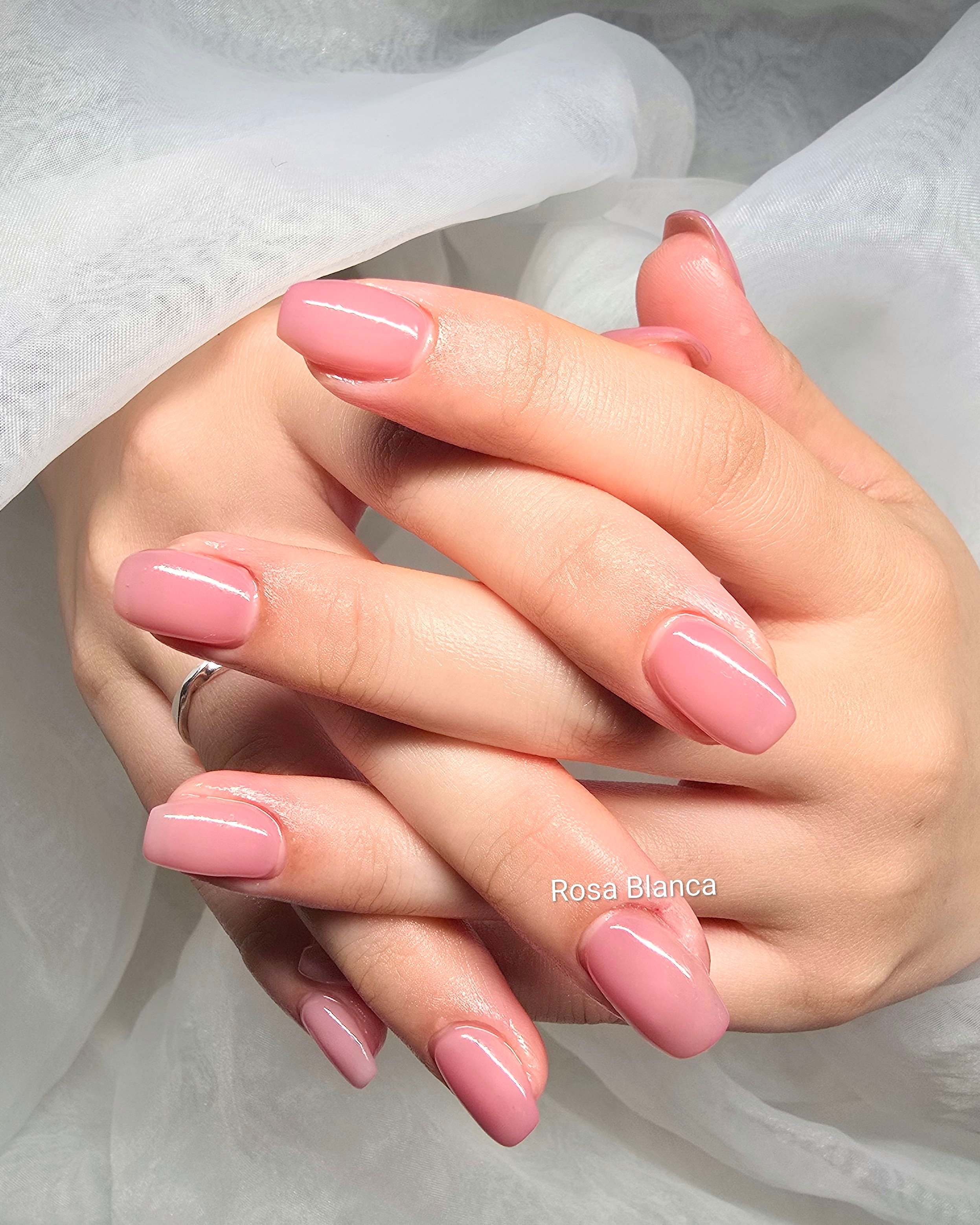 Rosa_Blanca
