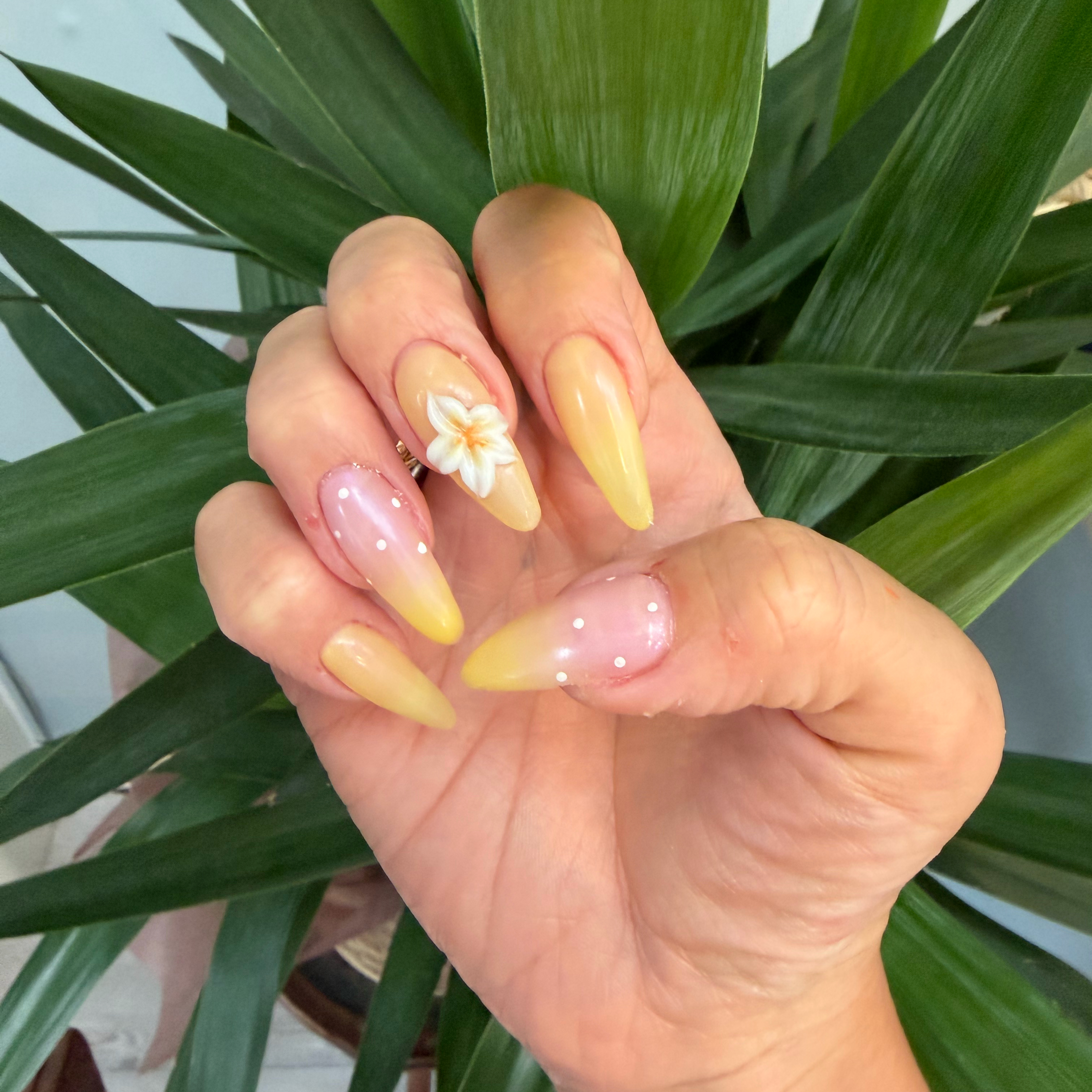 cotto_nail