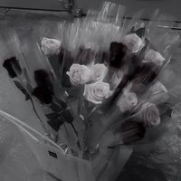 x_mify.8
