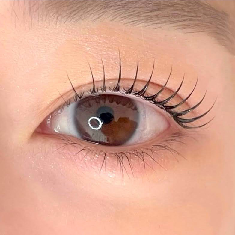 88eyelash