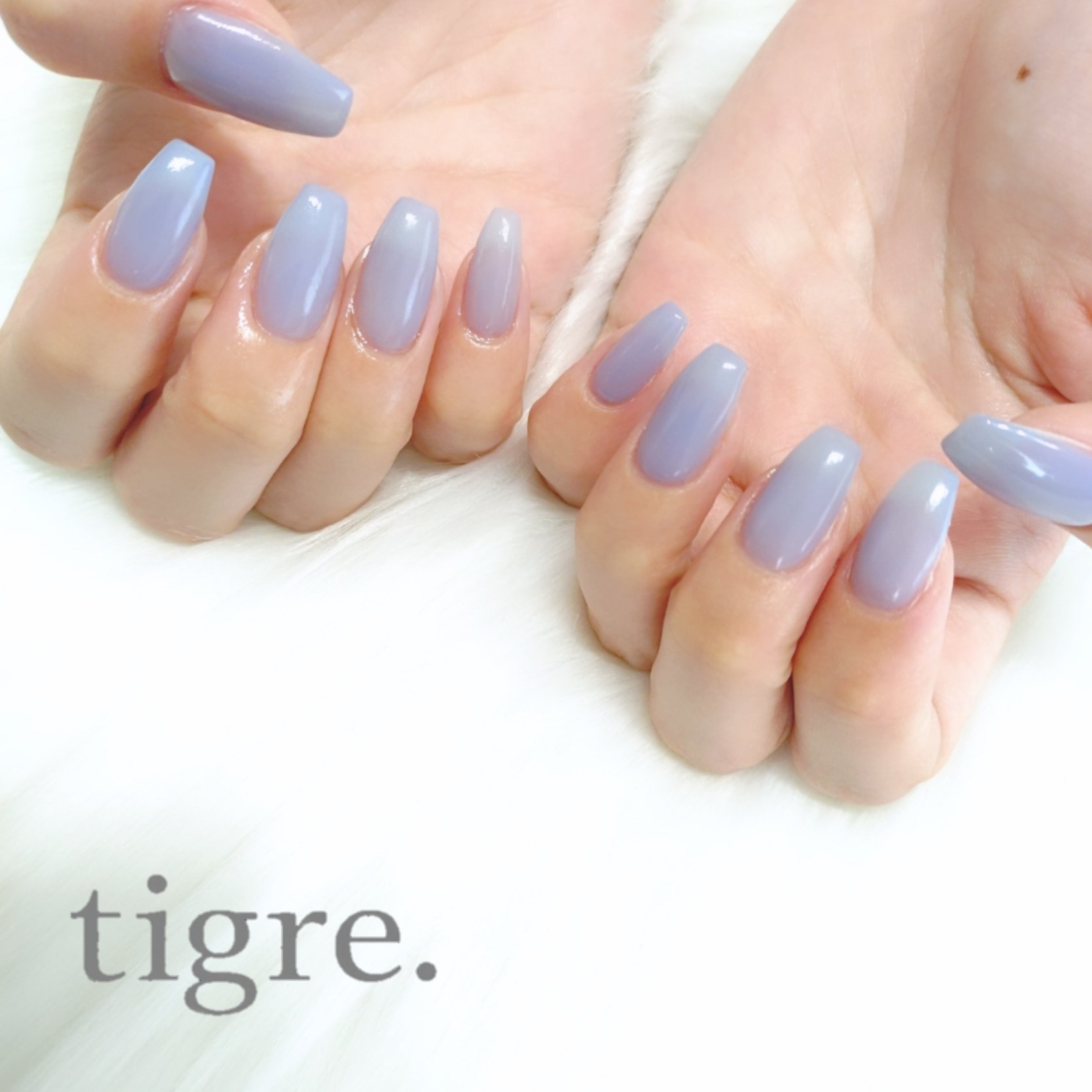 tigre.by_Natsuki