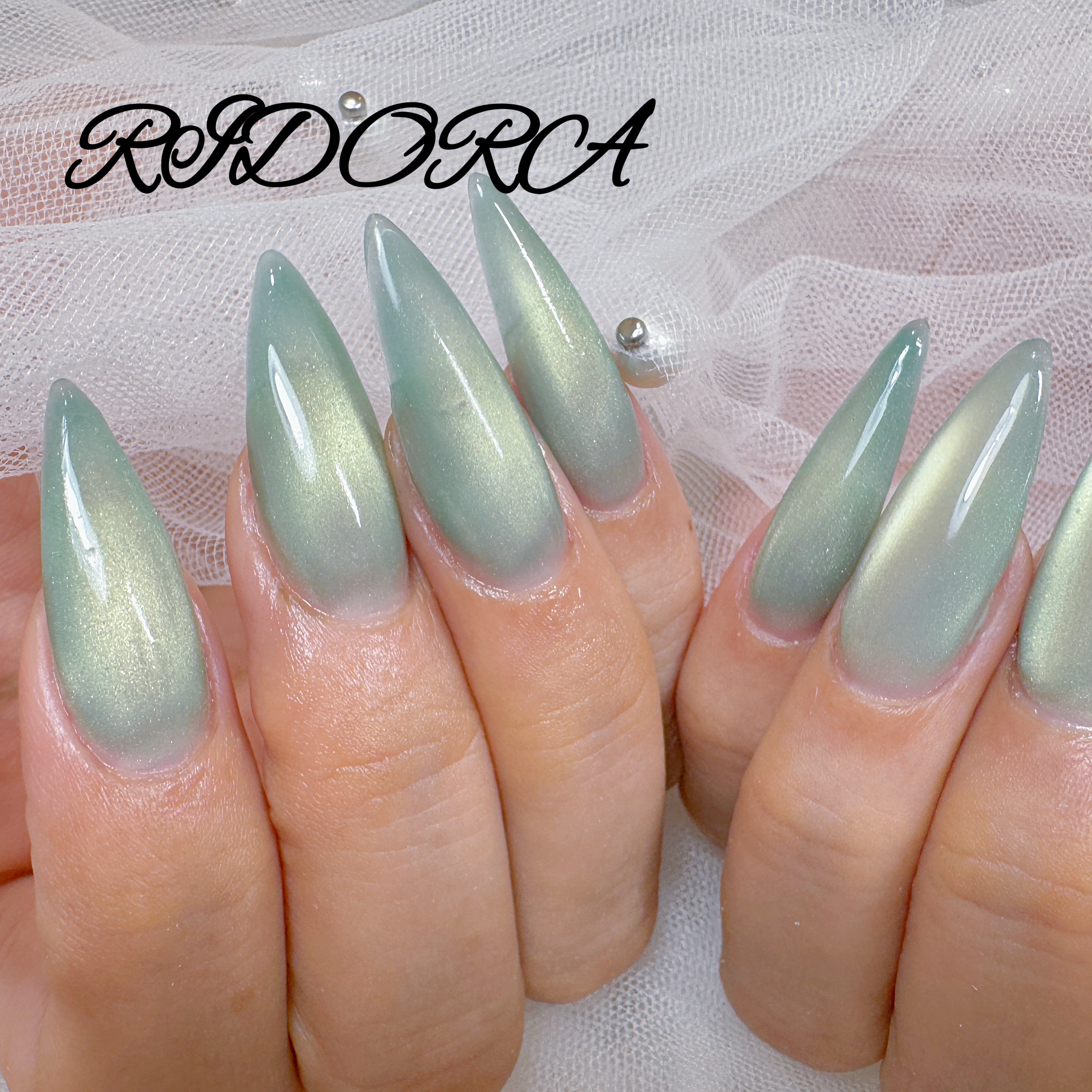 RIDORA
