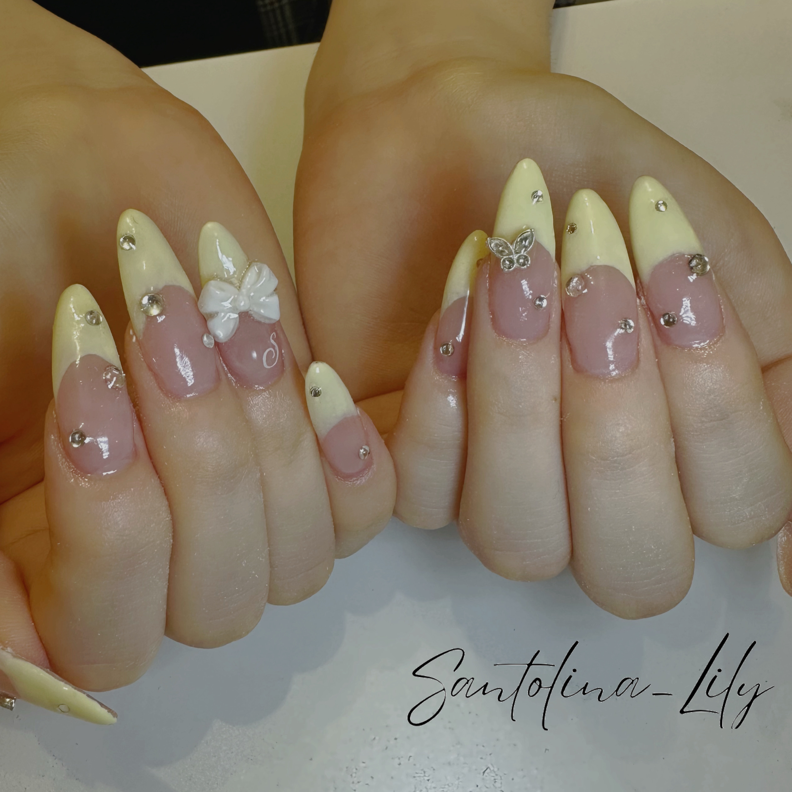 Santolina_Lily
