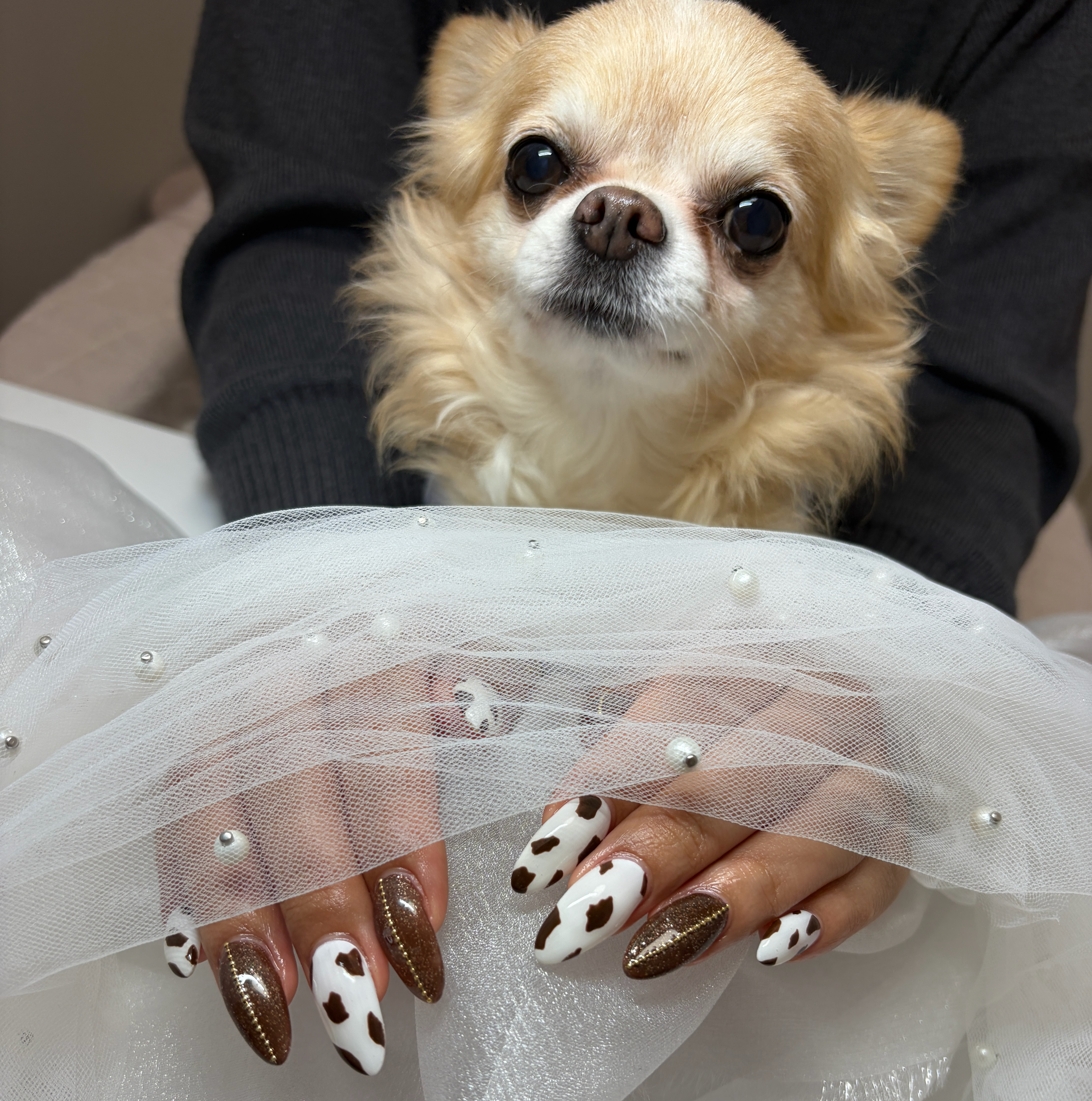Nailsalon.puuko