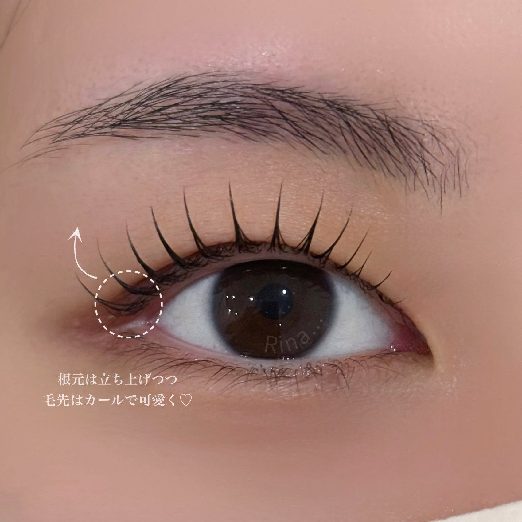 Rina__7.eye