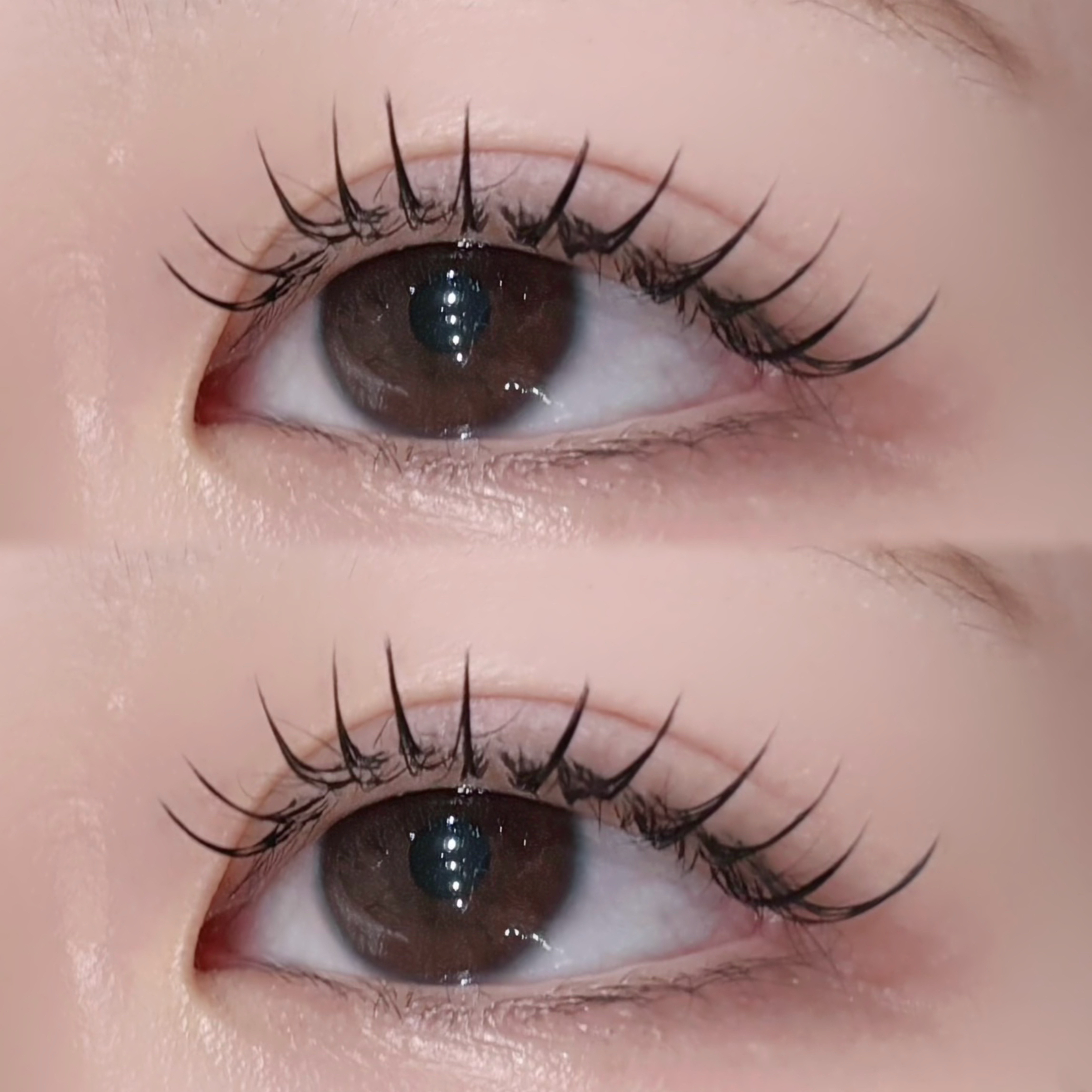 BUCKS_eye